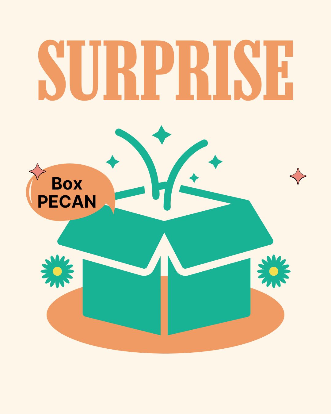 Box surprise PECAN - le pantalon à plis - FEMME