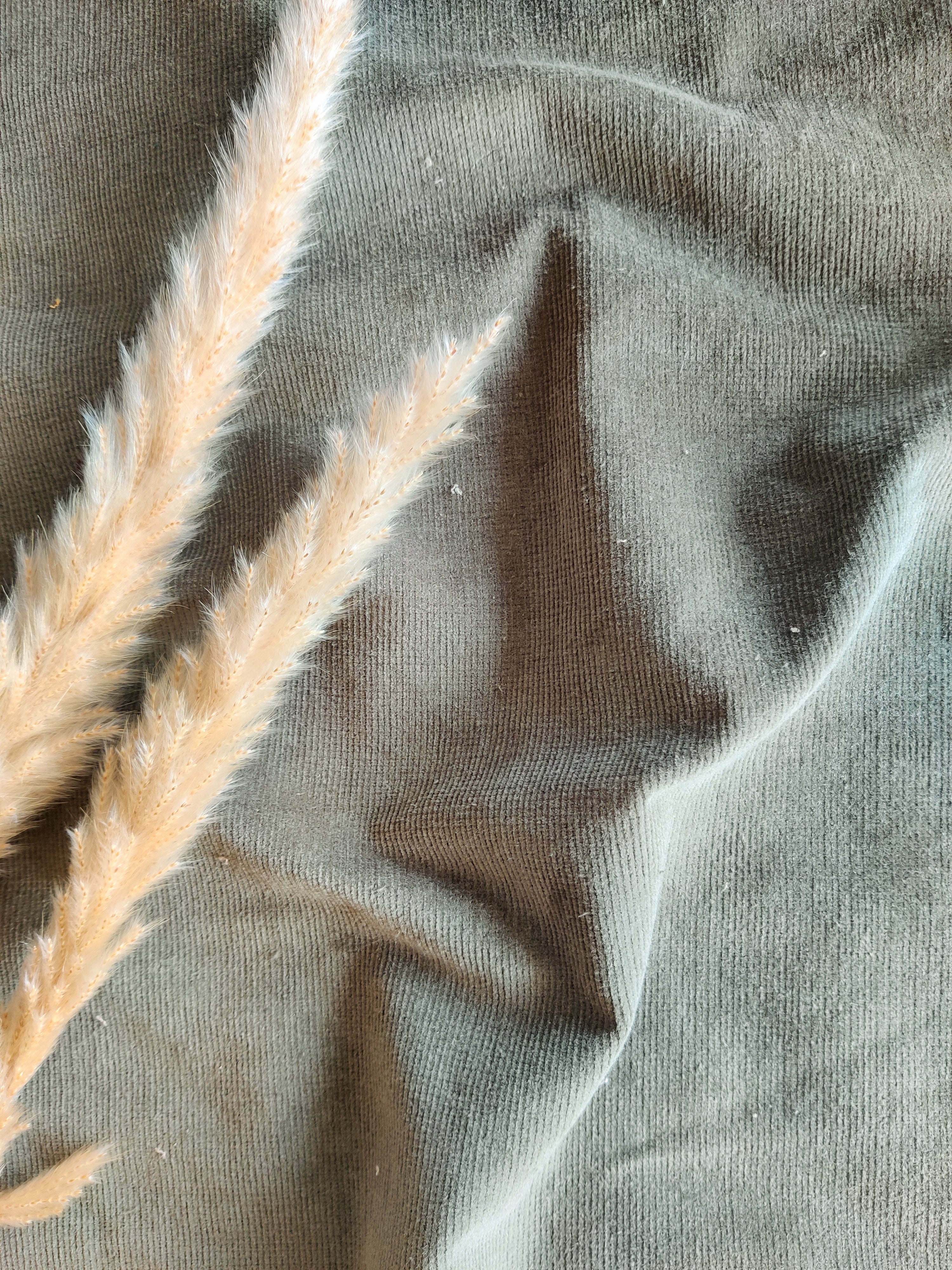 Velours milleraies stretch - kaki