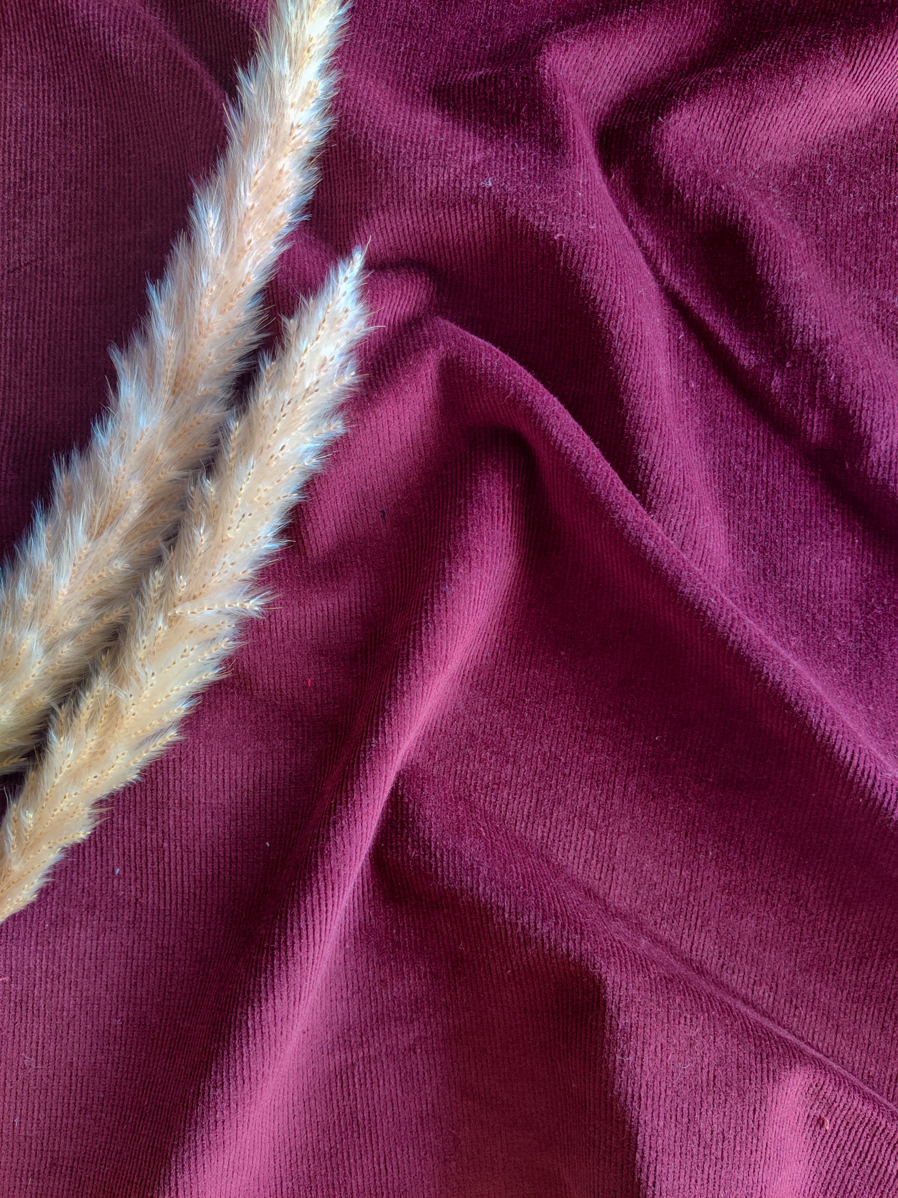 Velours milleraies stretch - lie de vin