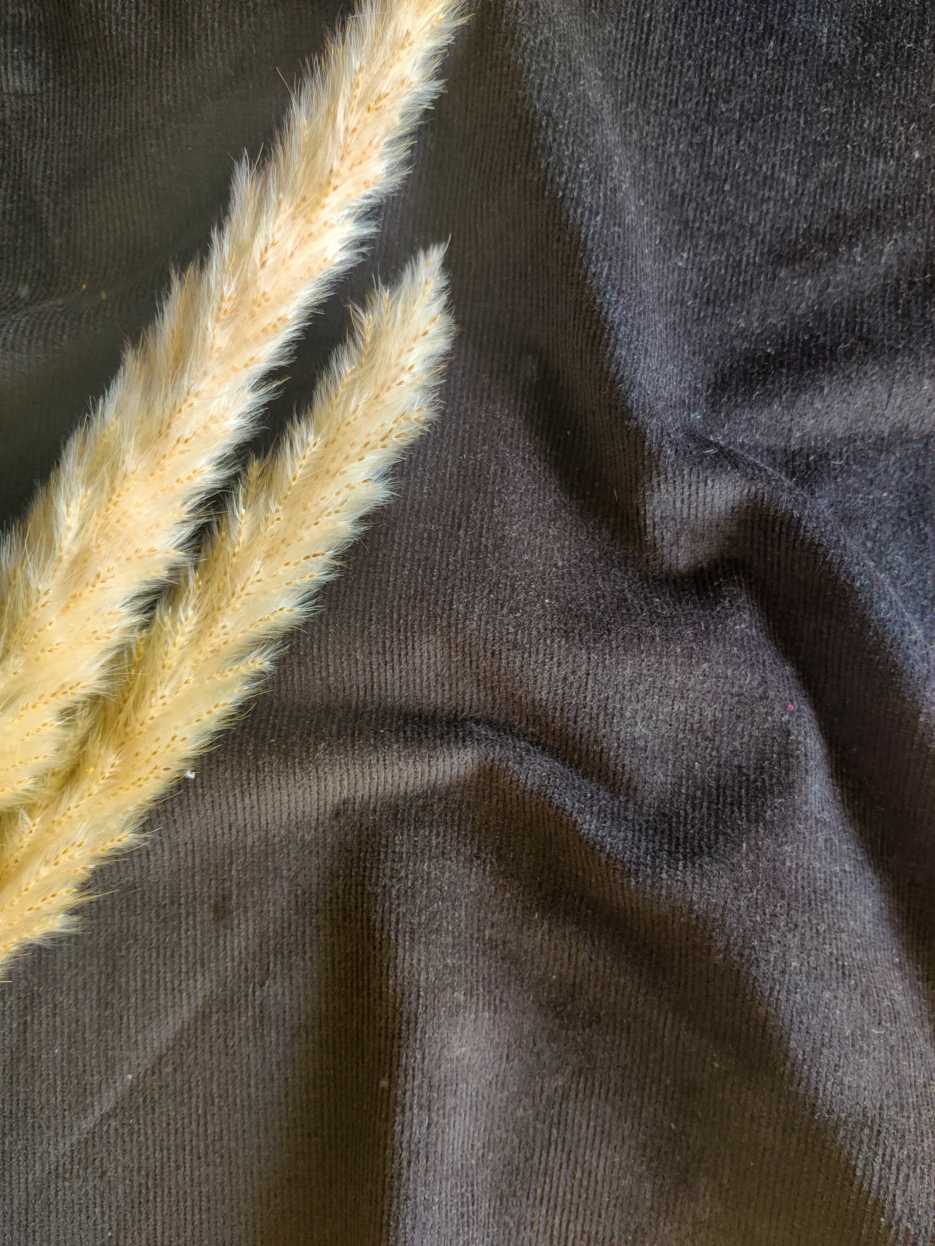 Velours milleraies stretch - noir