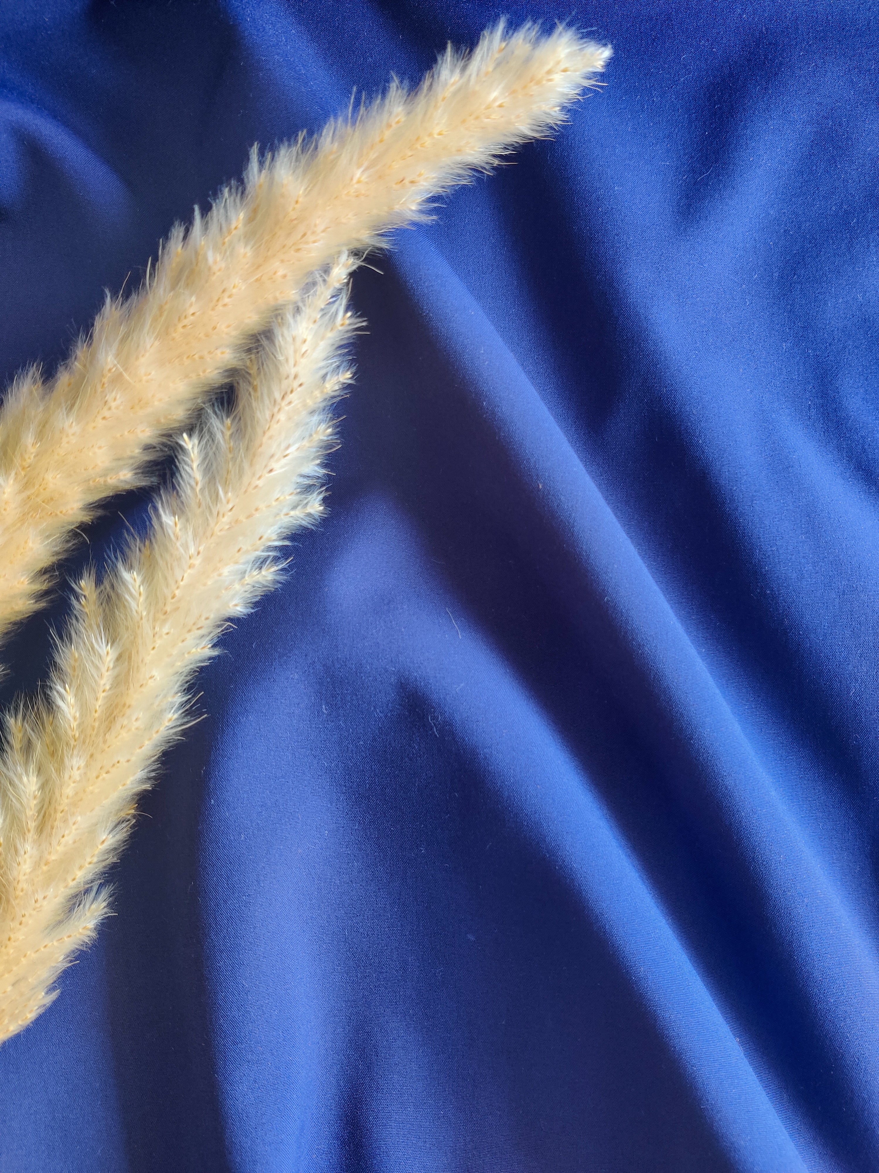 Softshell - Bleu foncé