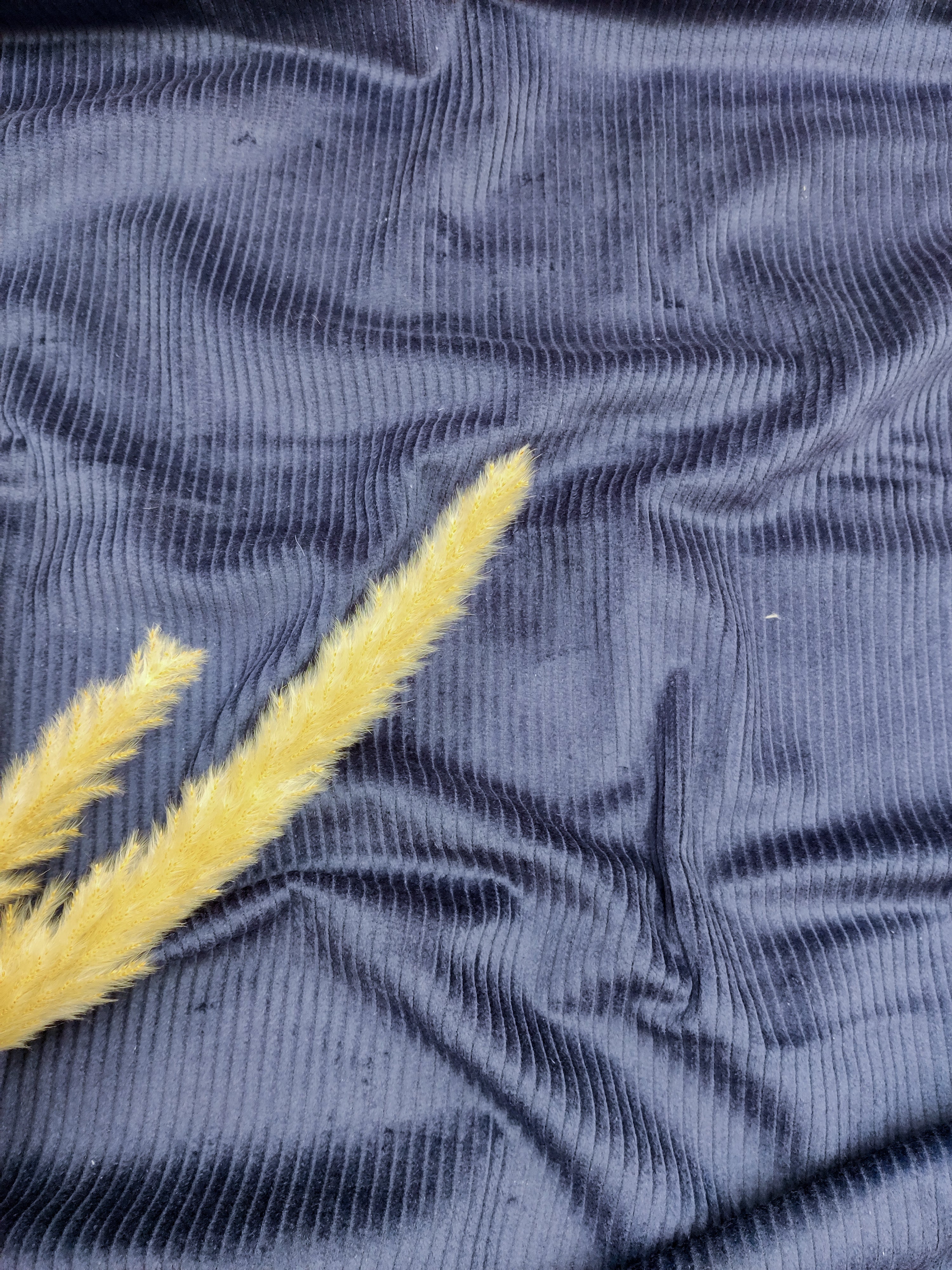 Velours côtelé lavé - Bleu marine