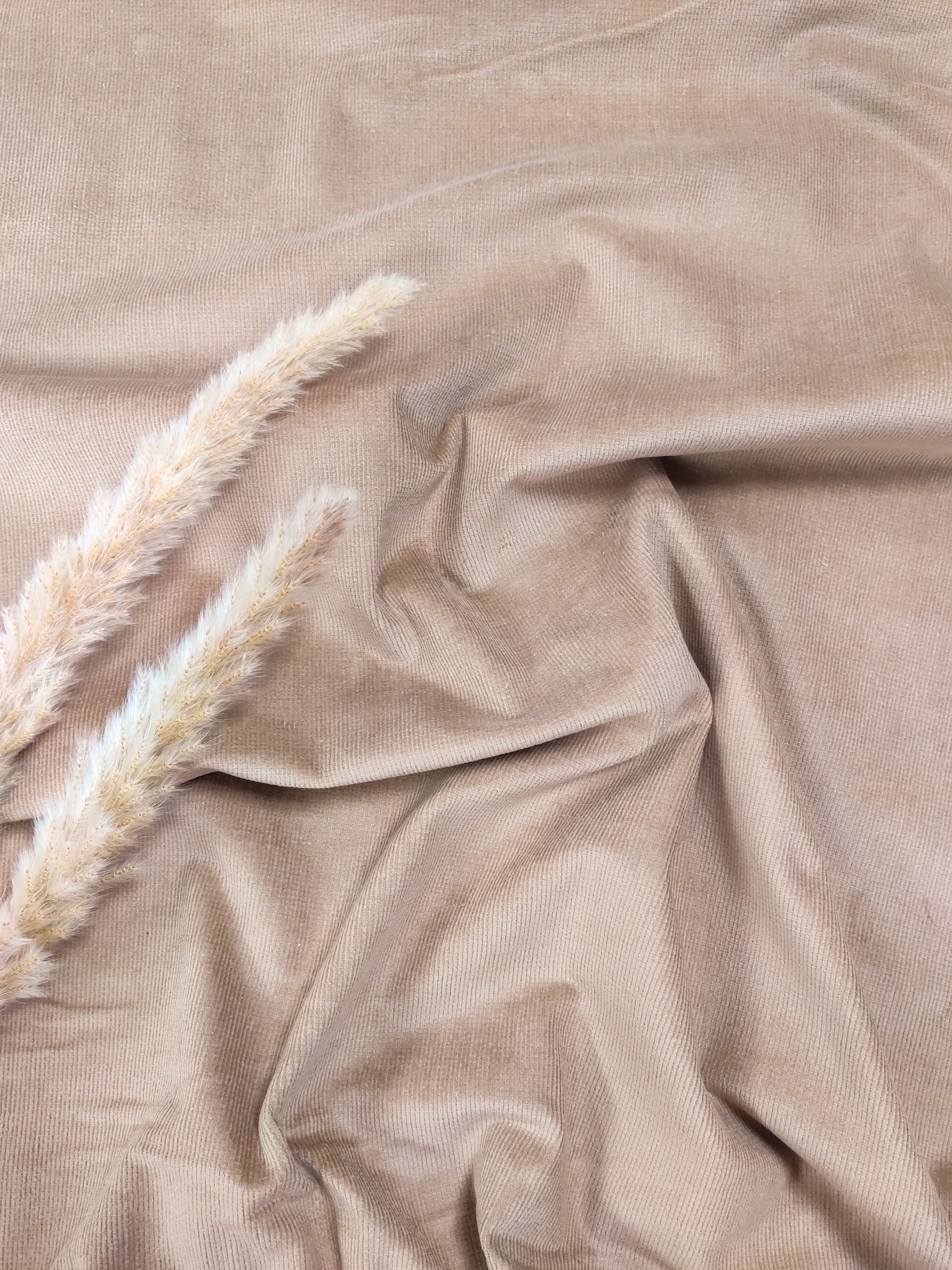 Velours milleraies stretch - Camel clair