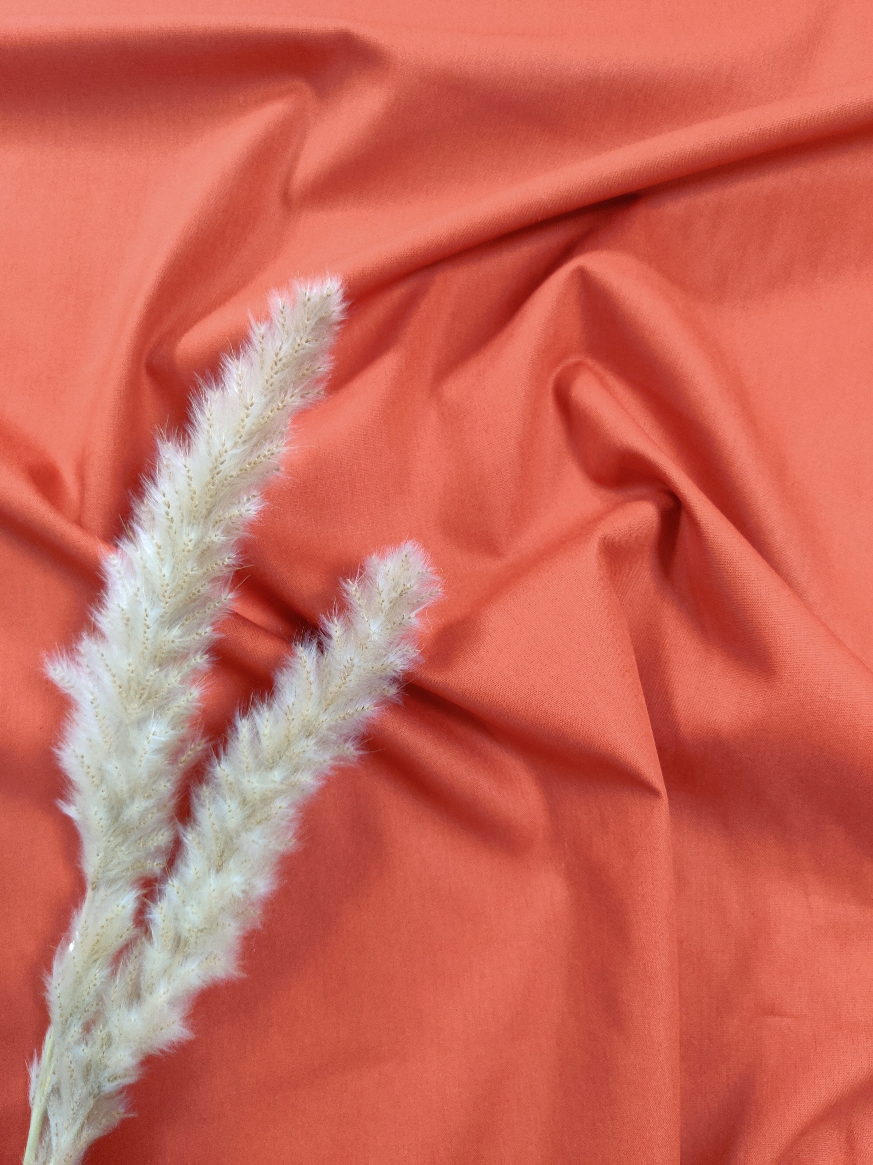 Popeline de Coton - Orange brûlée