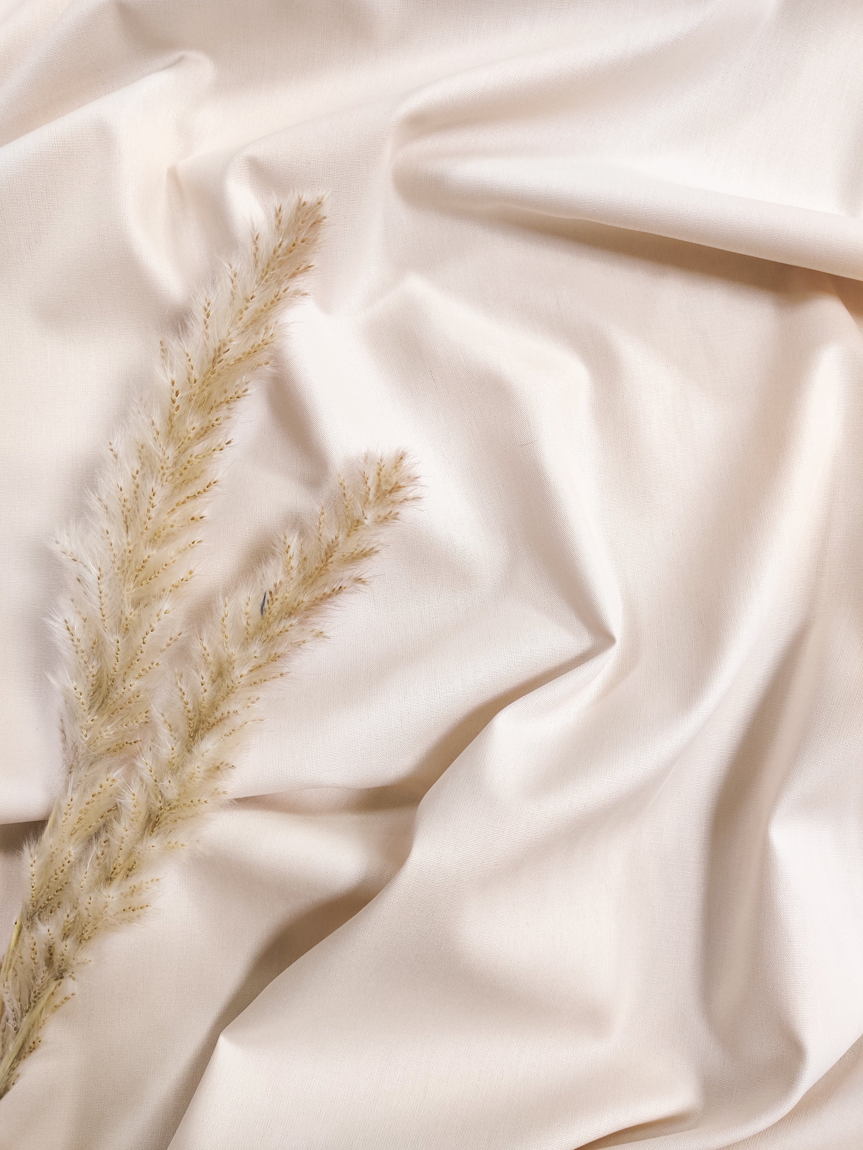 Popeline de Coton - Champagne