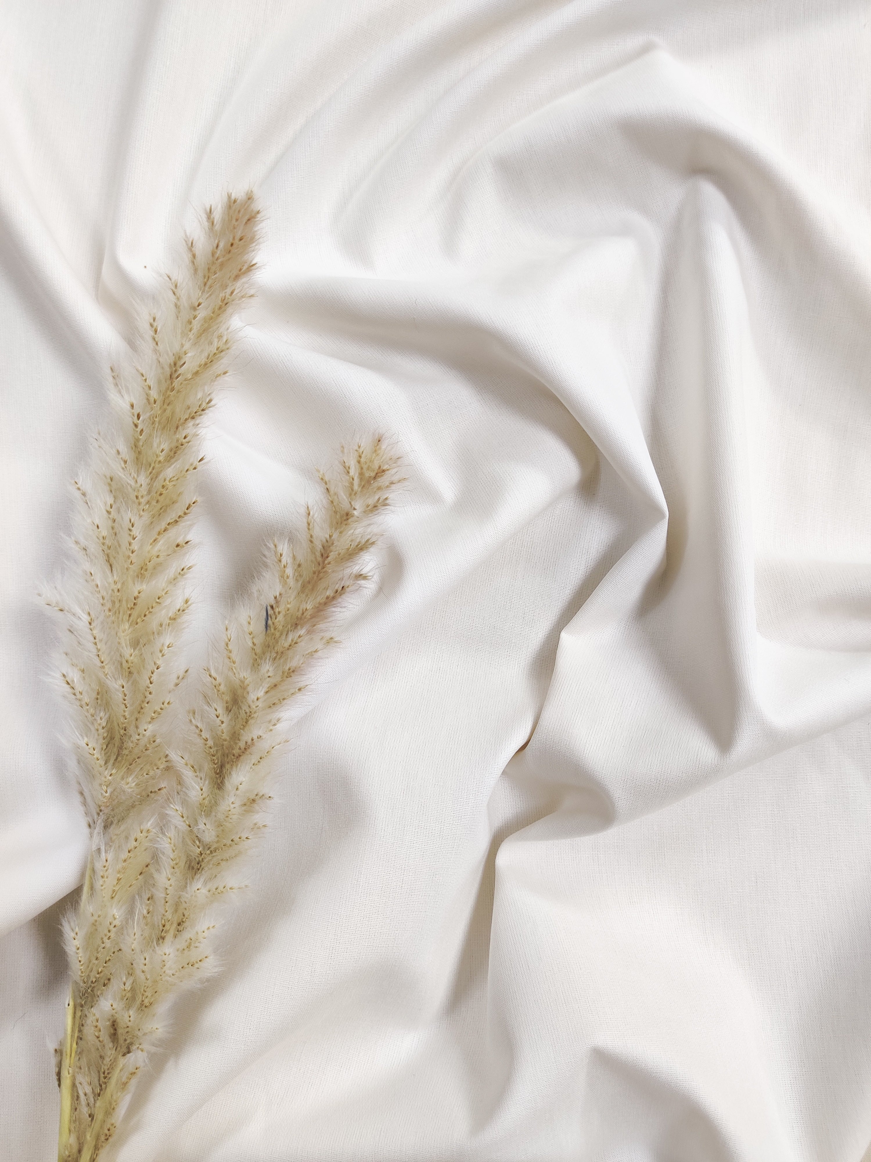 Popeline de Coton - Ecru