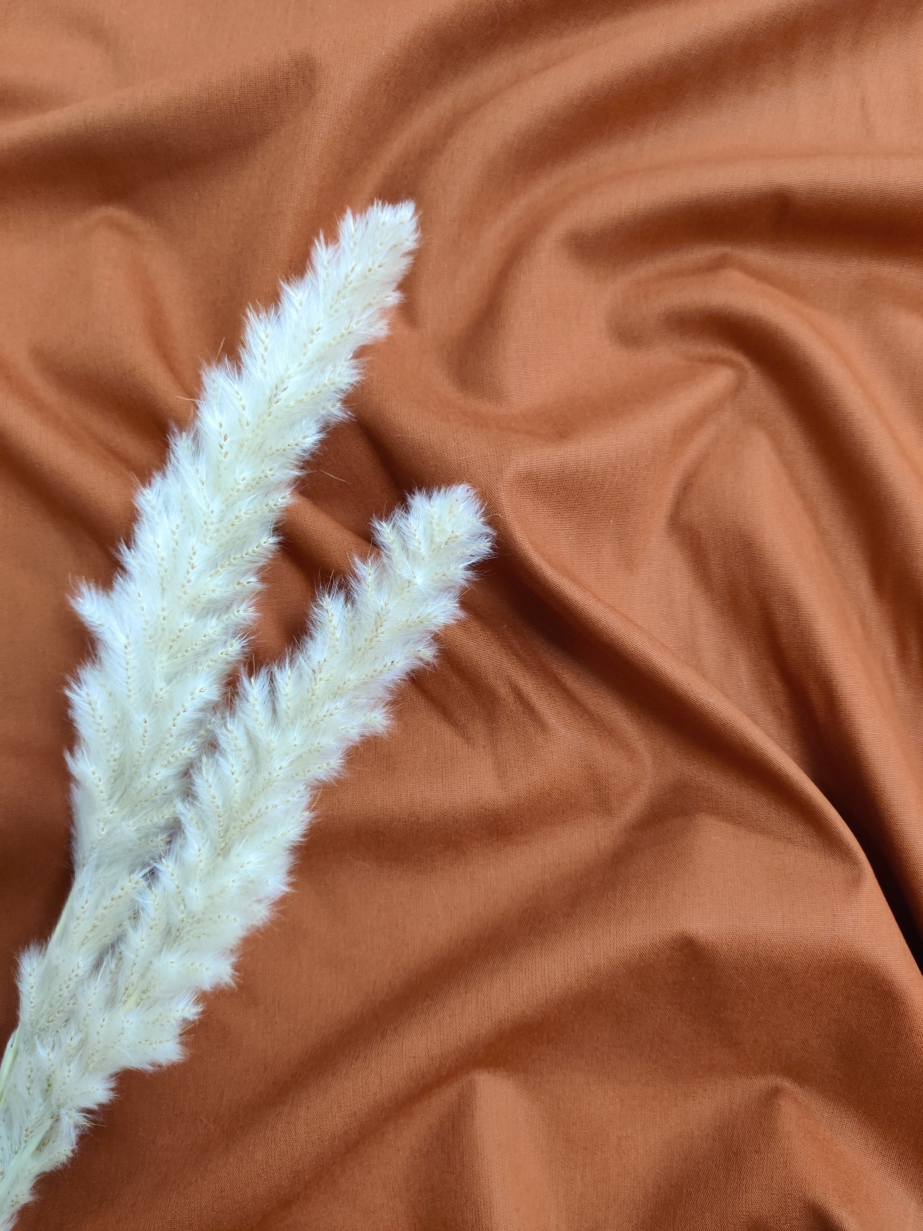 Popeline de Coton - Cognac