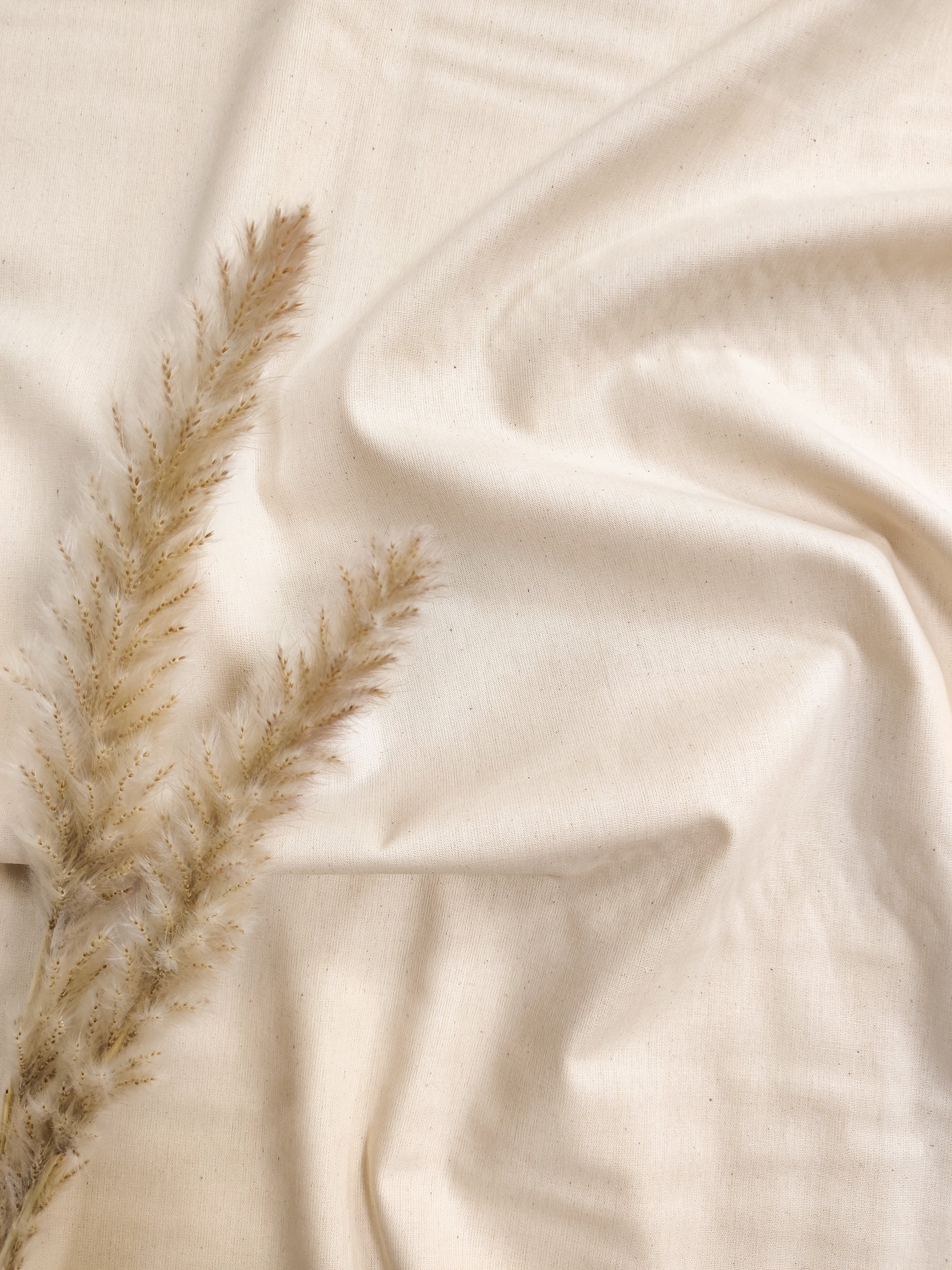 Popeline de Coton - Beige naturel