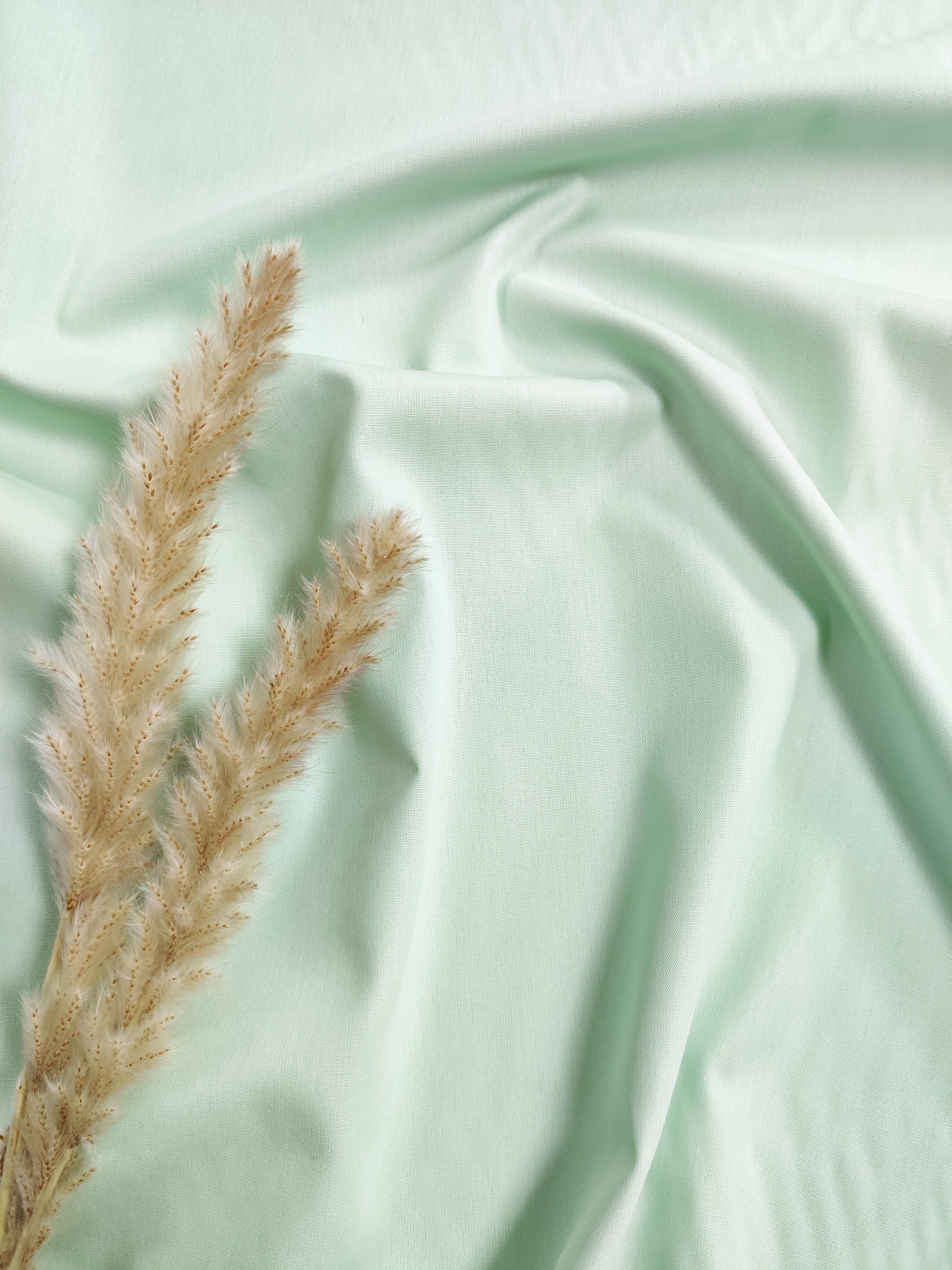 Popeline de Coton - Menthe claire