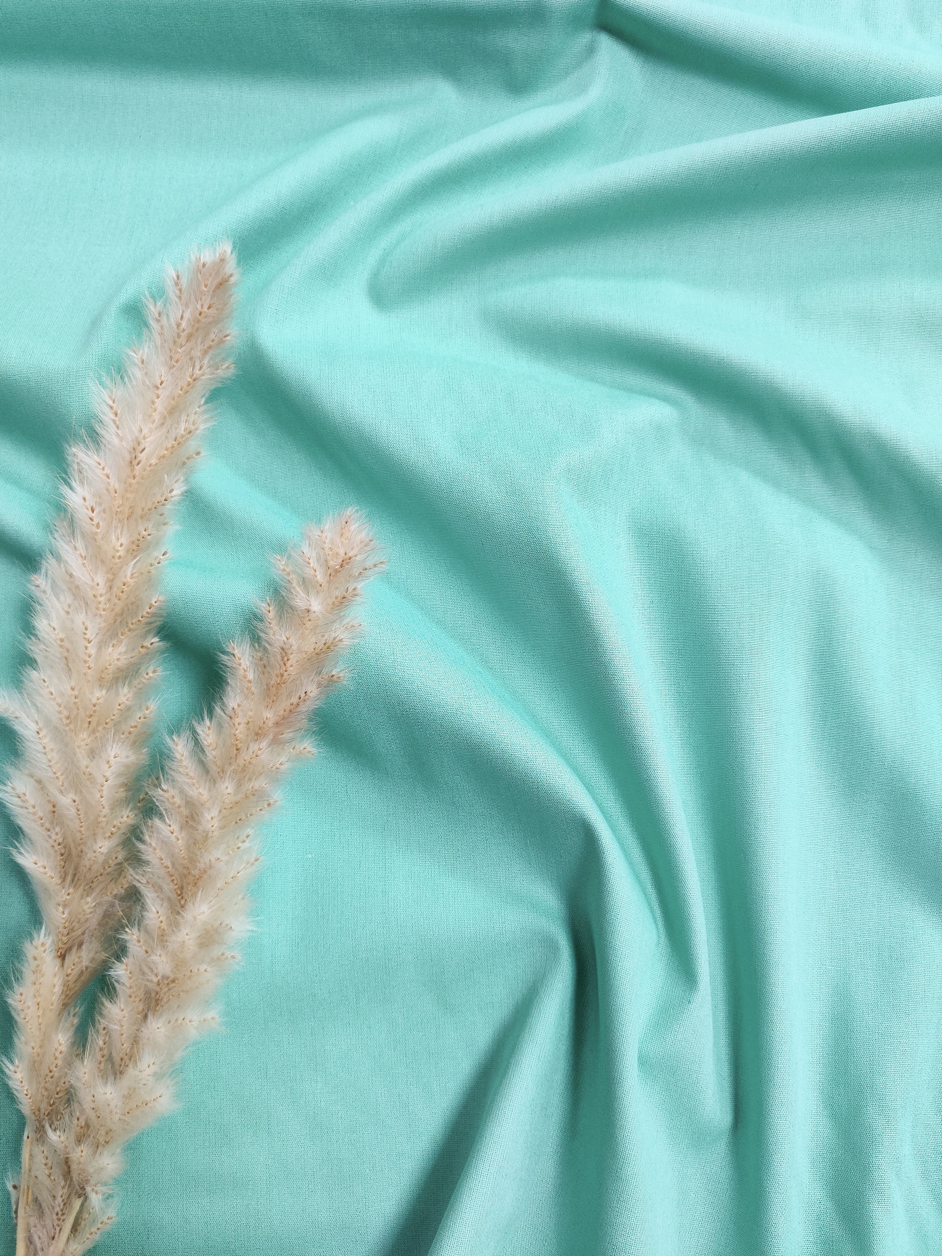 Popeline de Coton - Menthe foncée