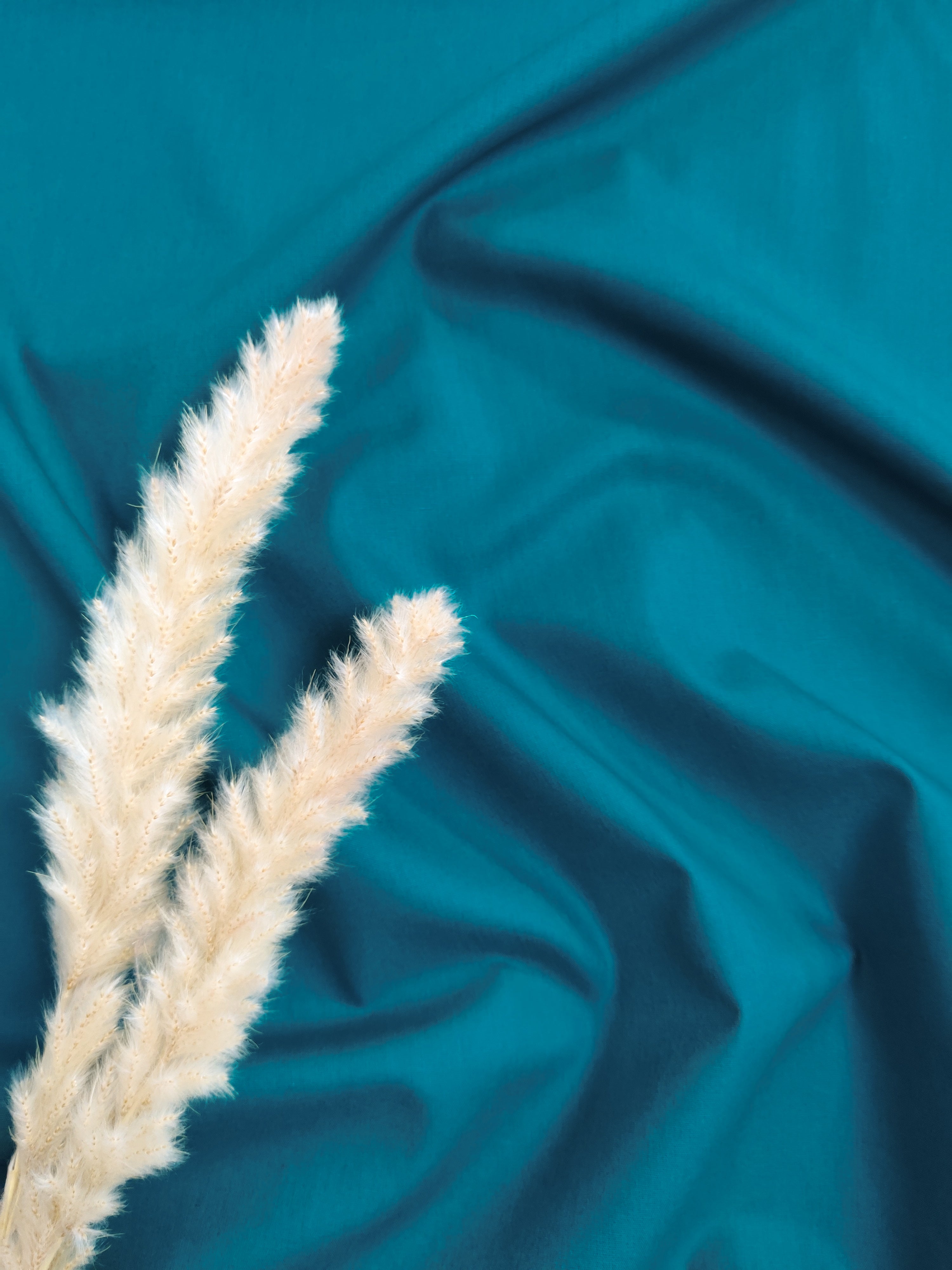 Popeline de Coton - Pétrole