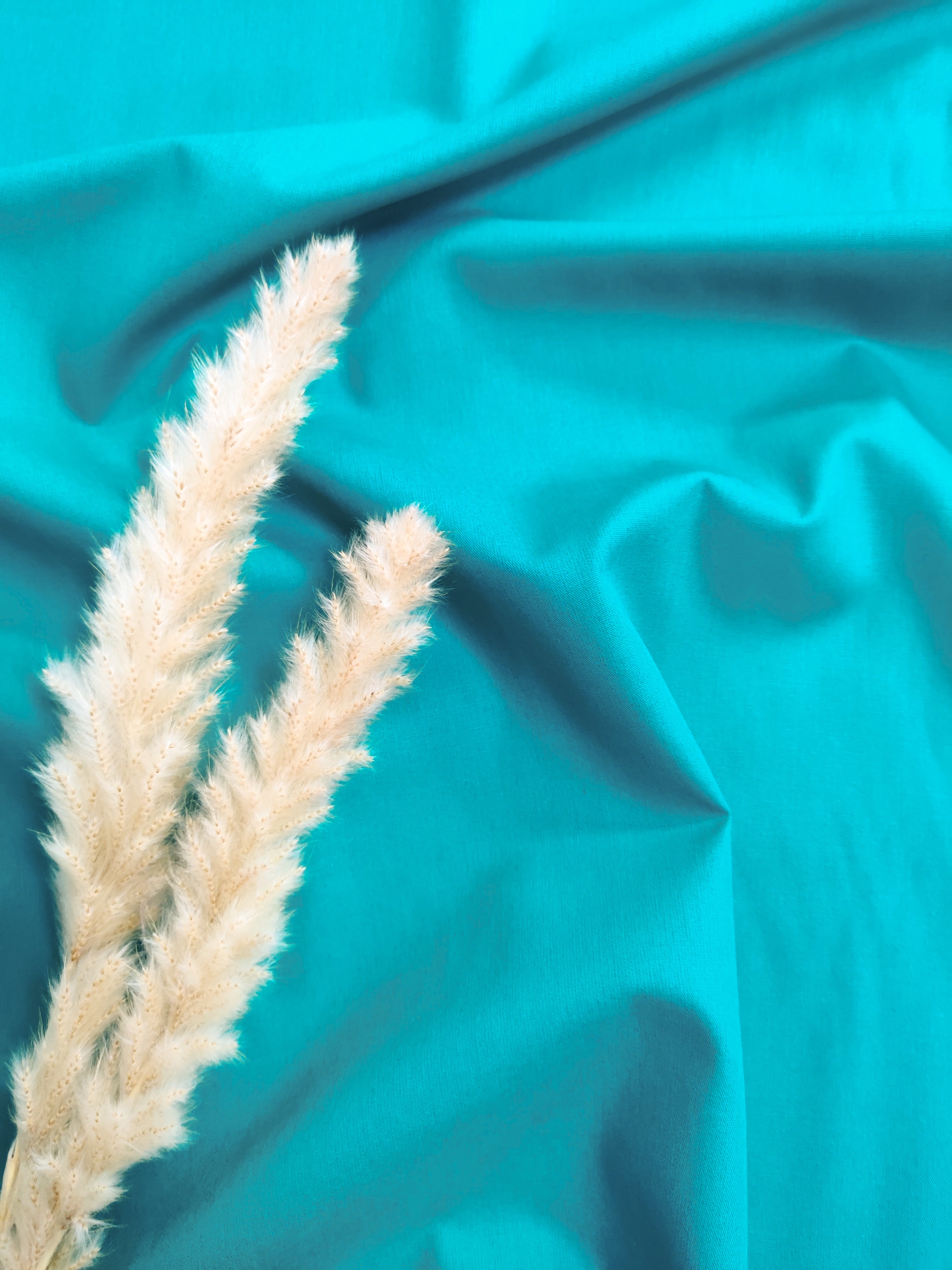 Popeline de Coton - Turquoise