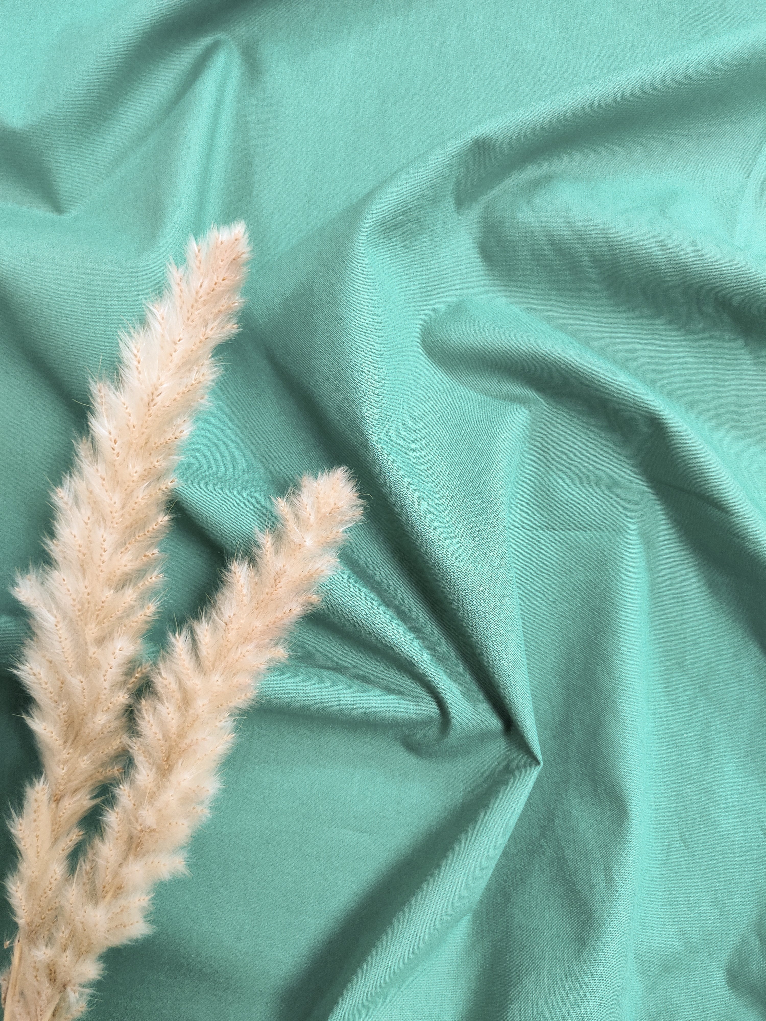 Popeline de Coton - Vert chirurgien