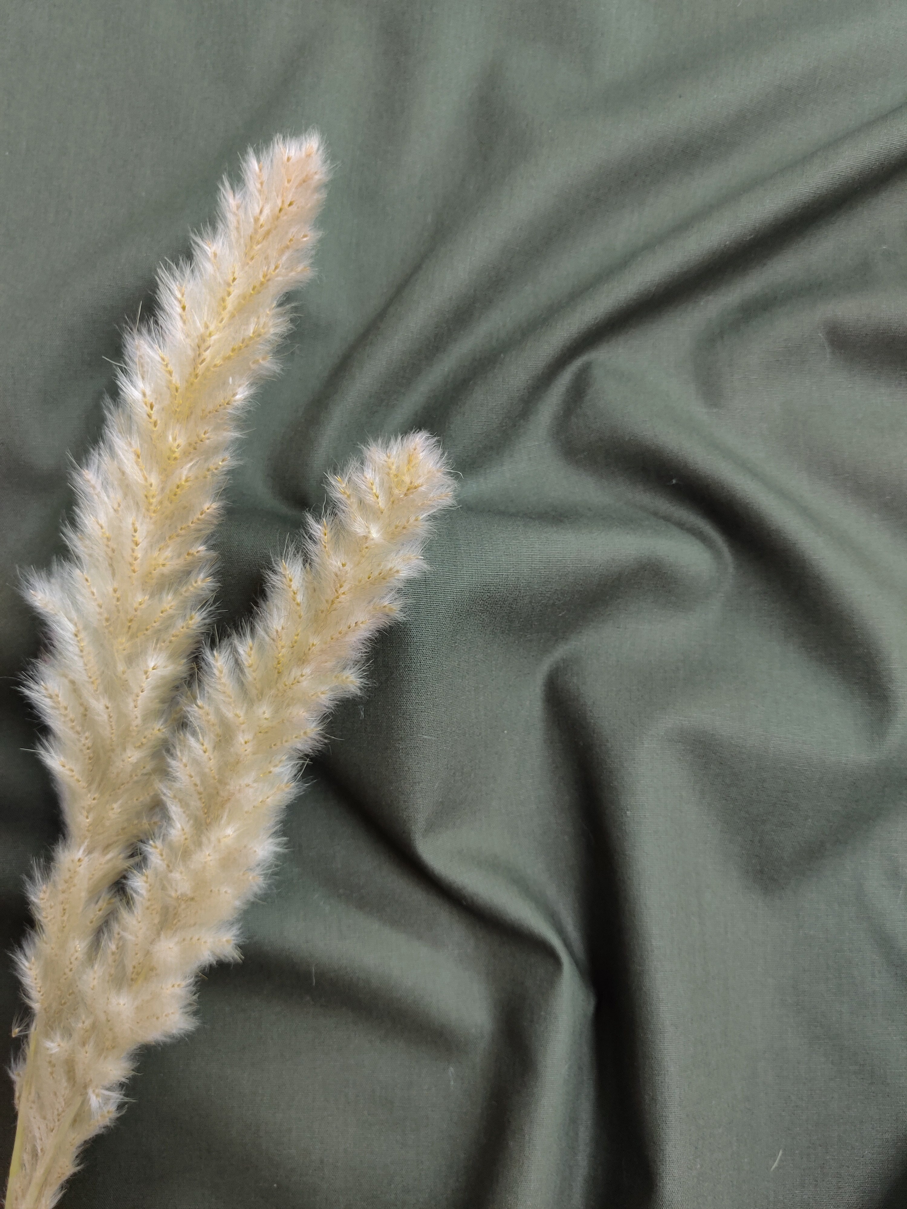 Popeline de Coton - Vert foncé