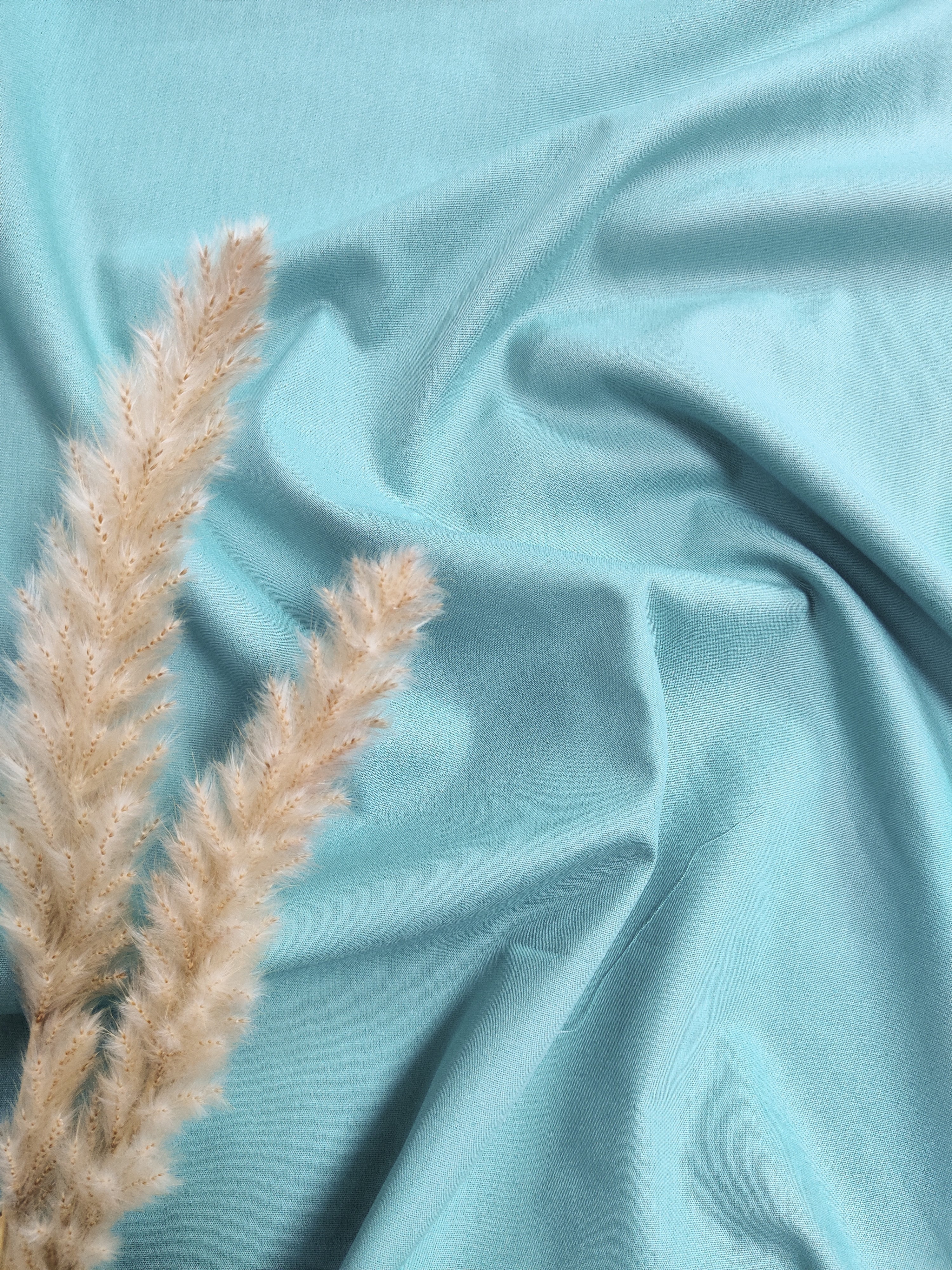 Popeline de Coton - Bleu d