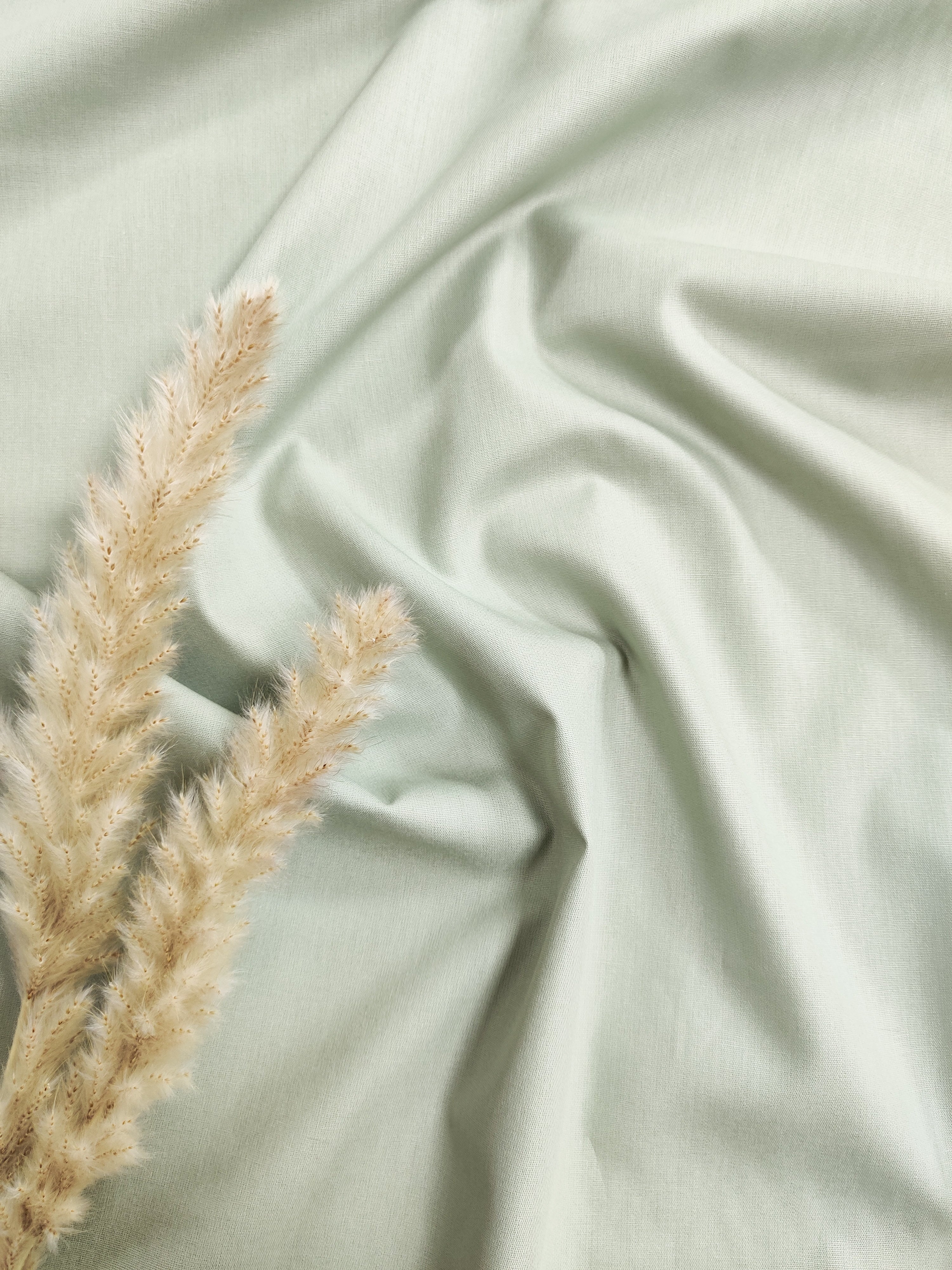 Popeline de Coton - Vert sauge