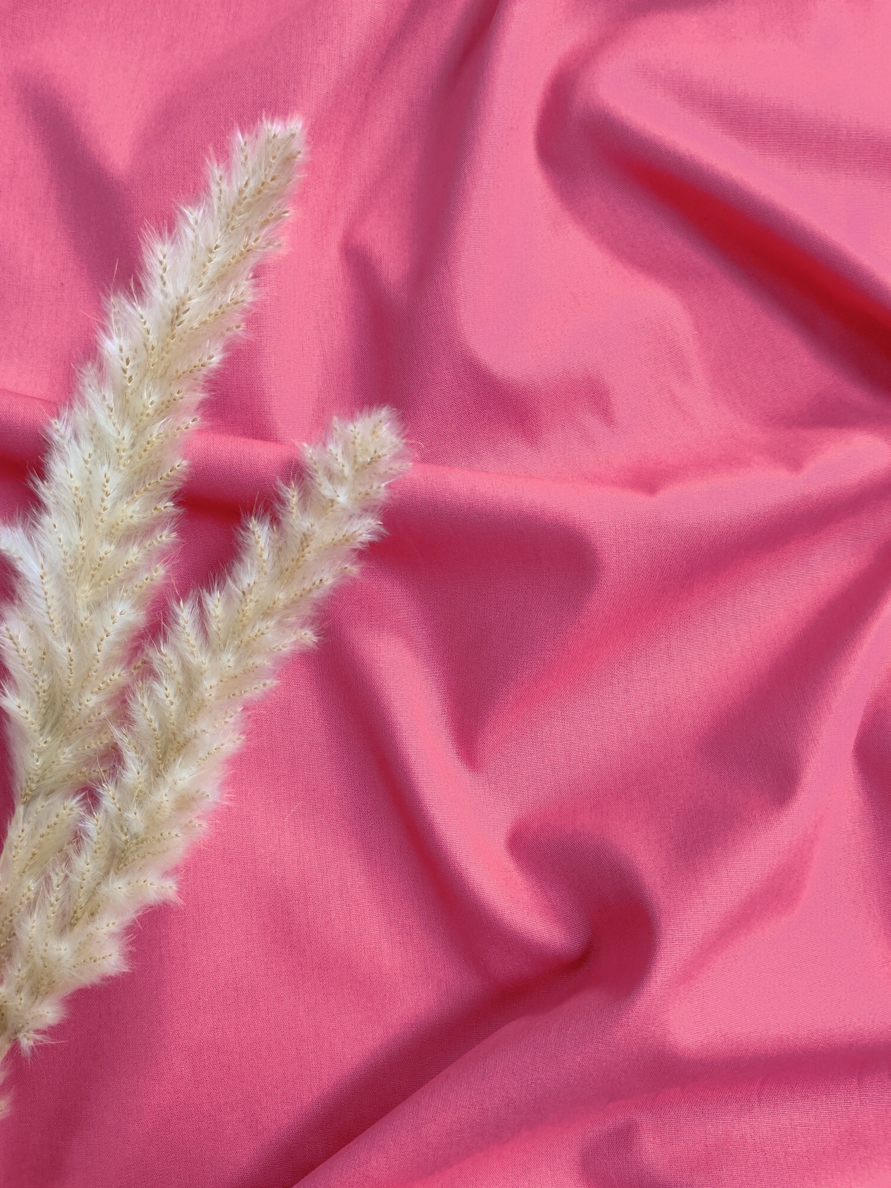 Popeline de Coton - Berry