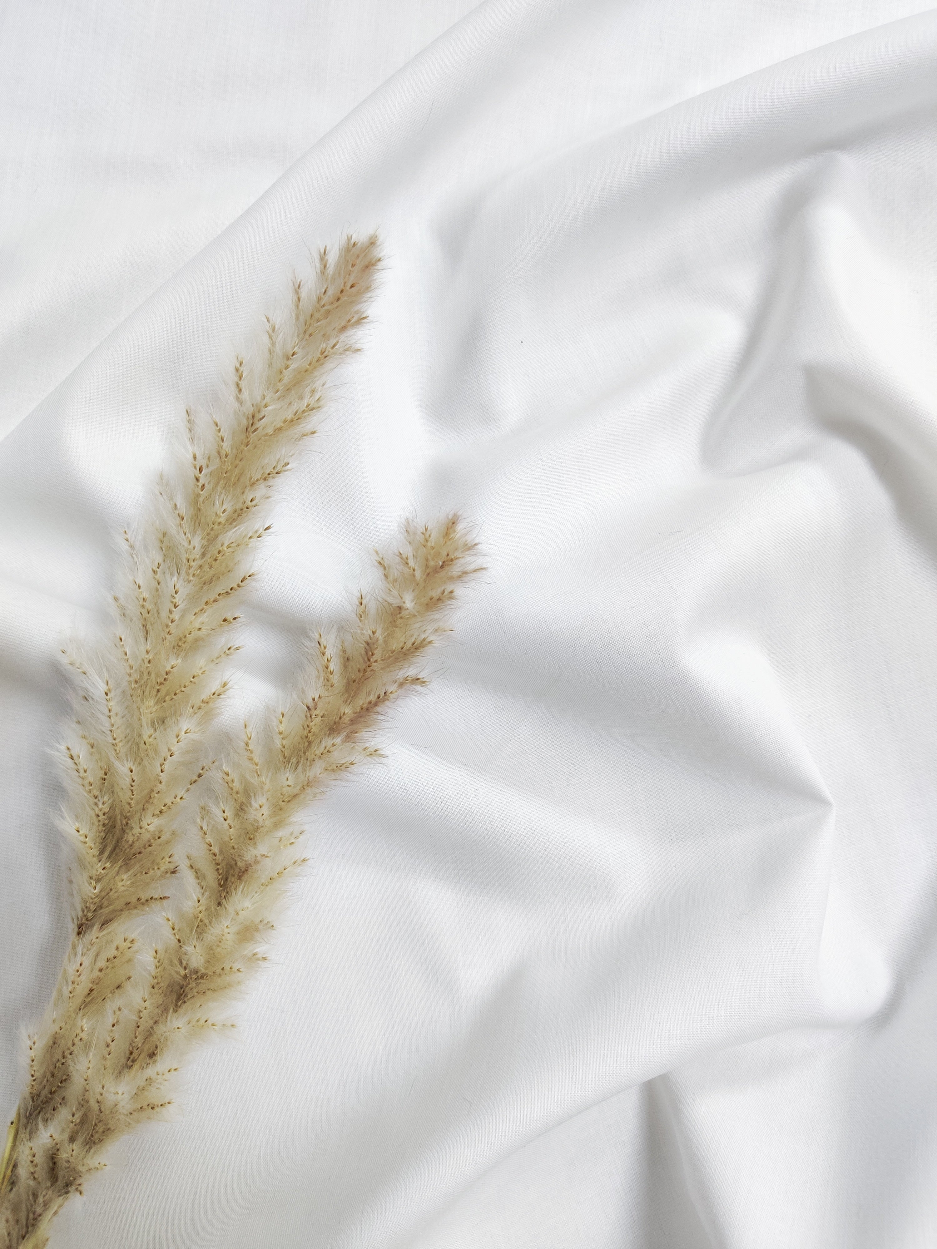 Popeline de Coton - Blanche