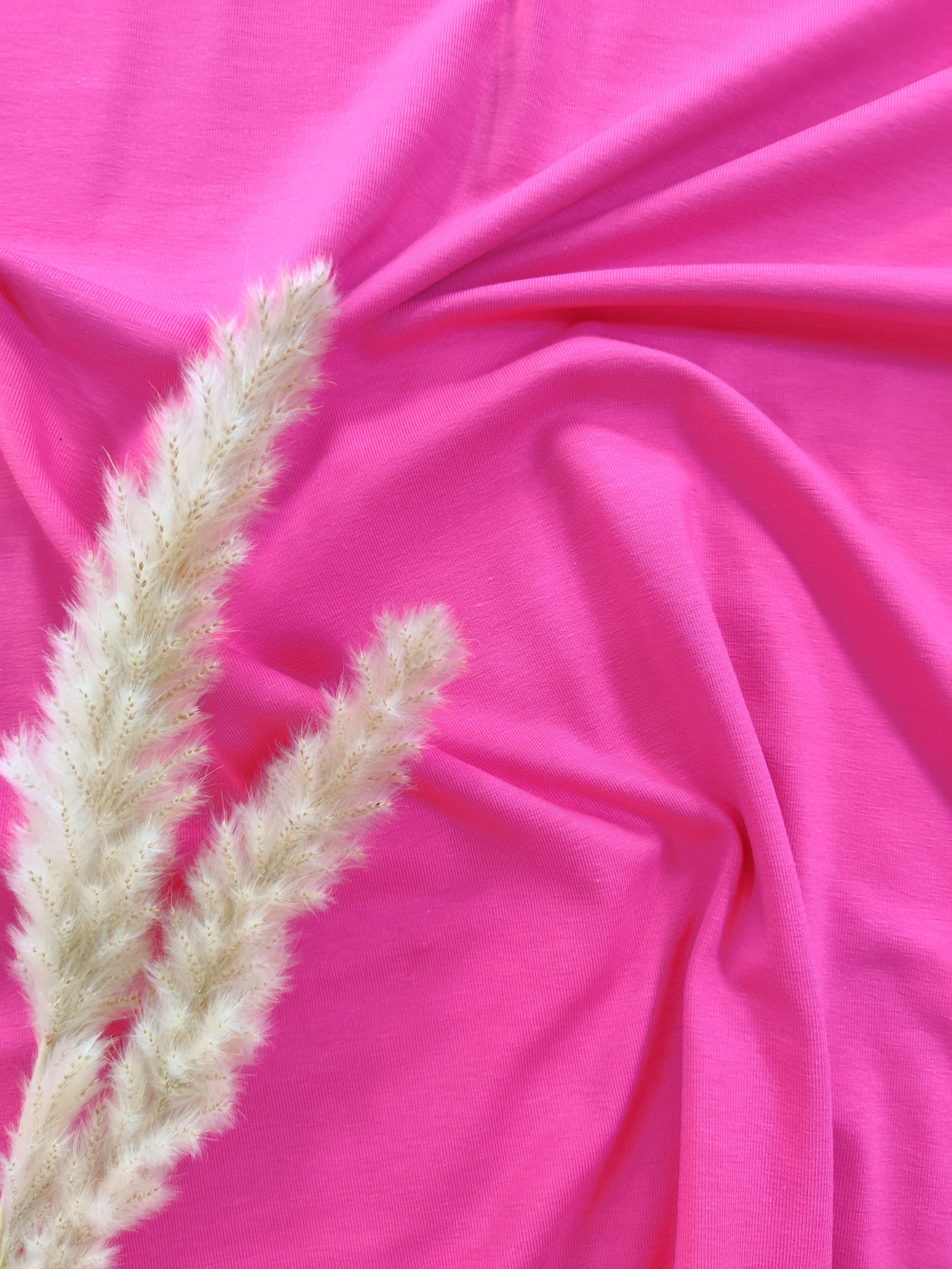 Jersey de coton BIO - Fuchsia