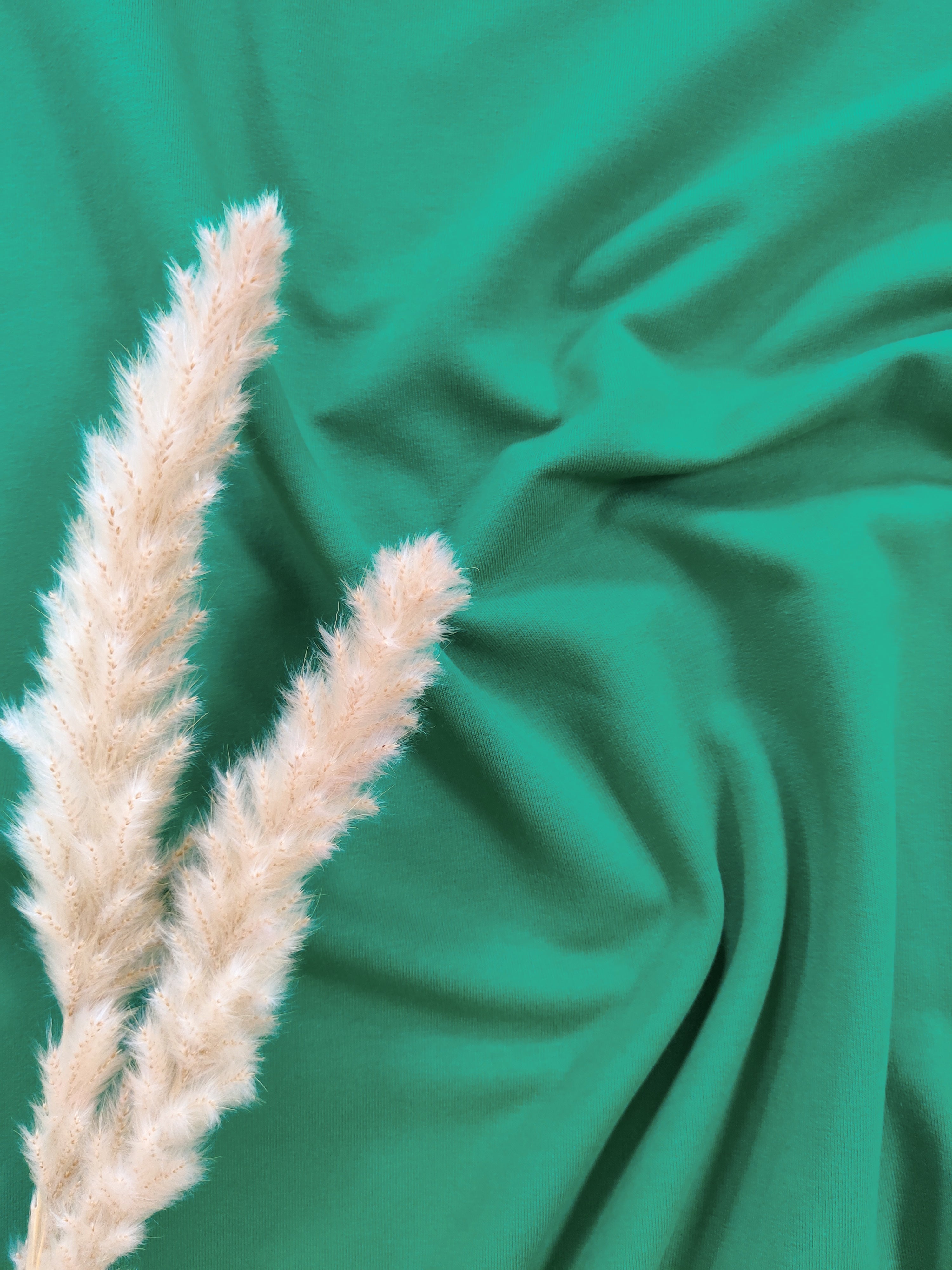 French terry BIO - Vert peps