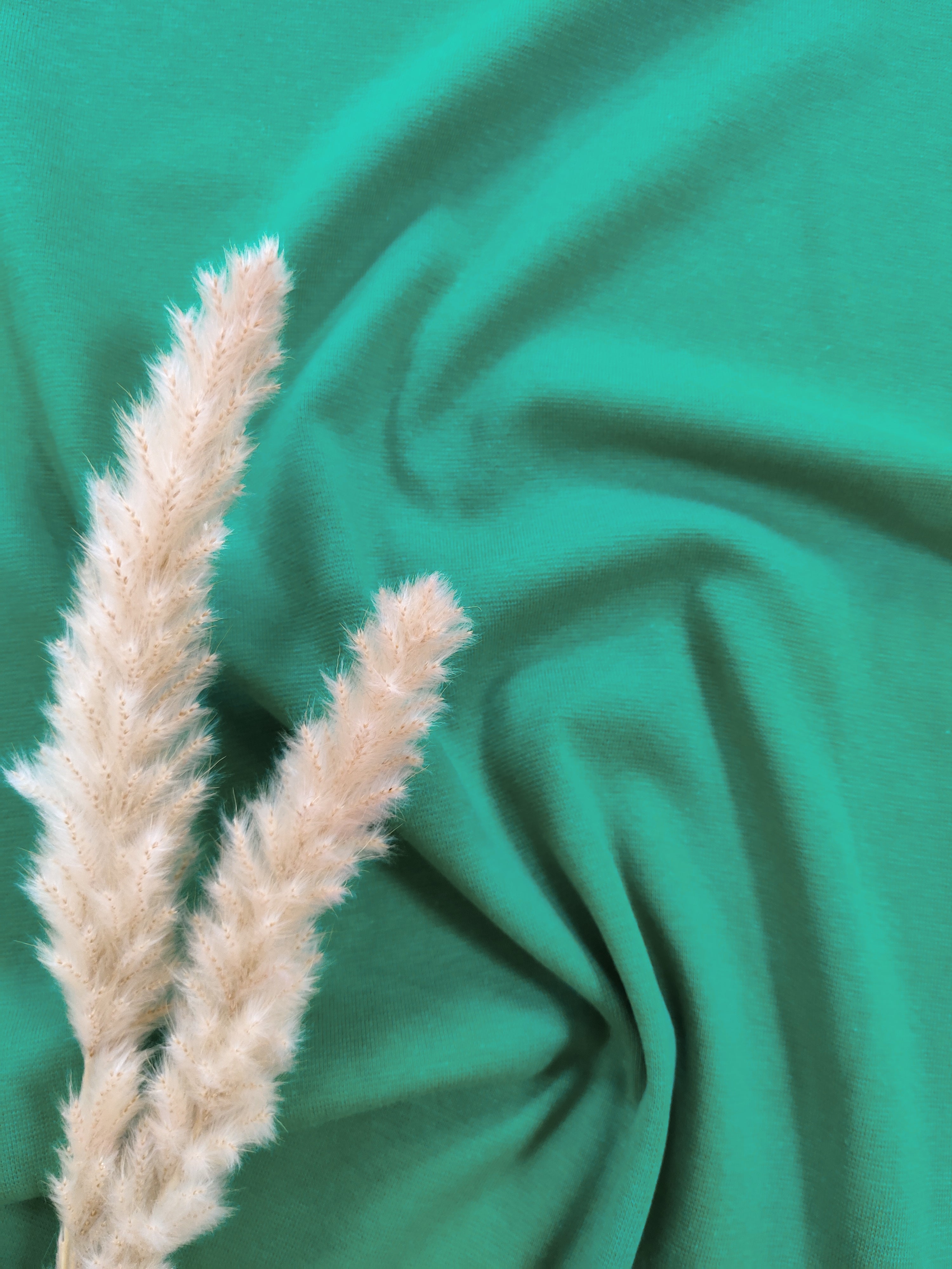 Bord-côte BIO - Vert peps