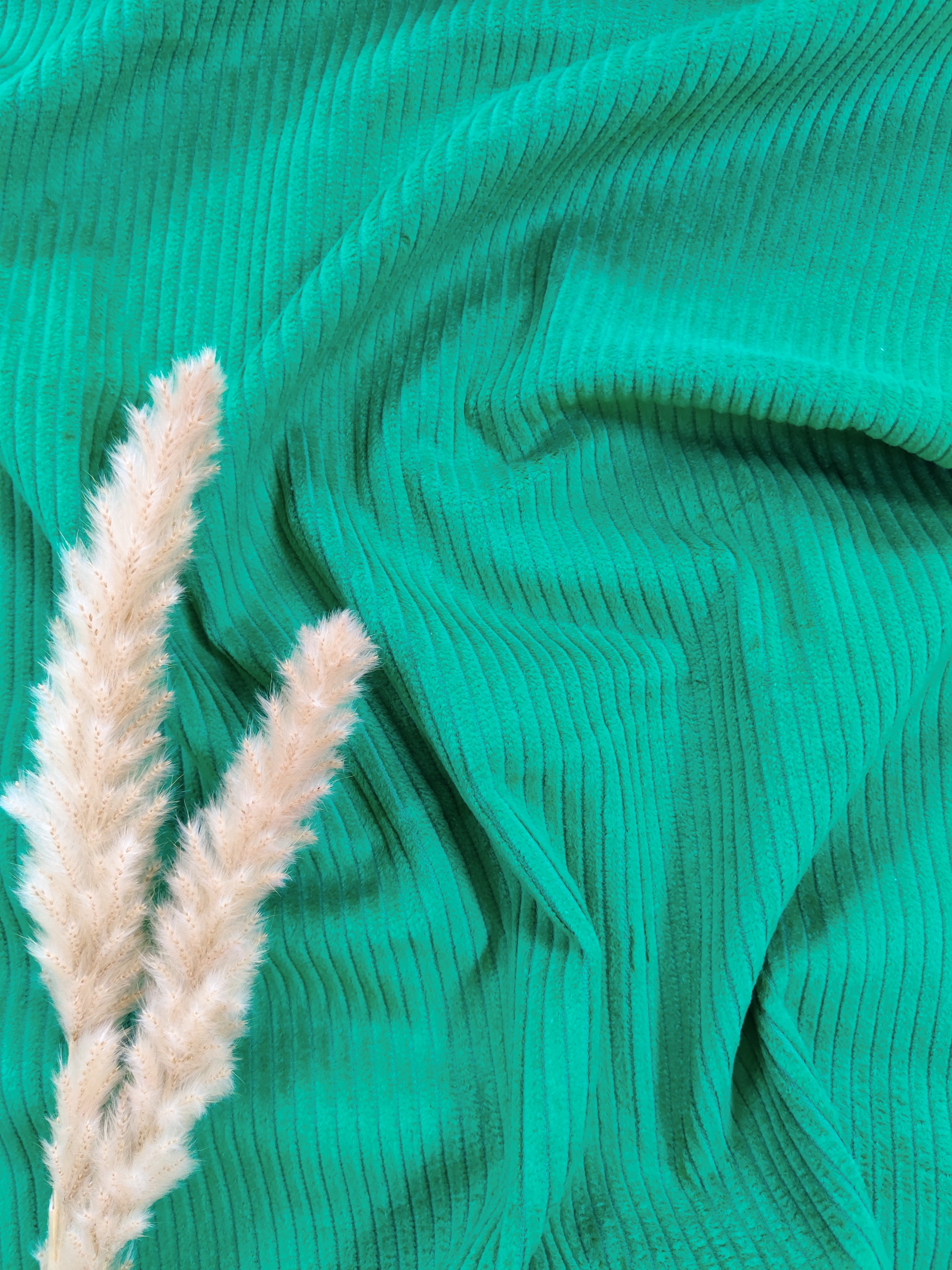 Velours côtelé lavé - vert peps