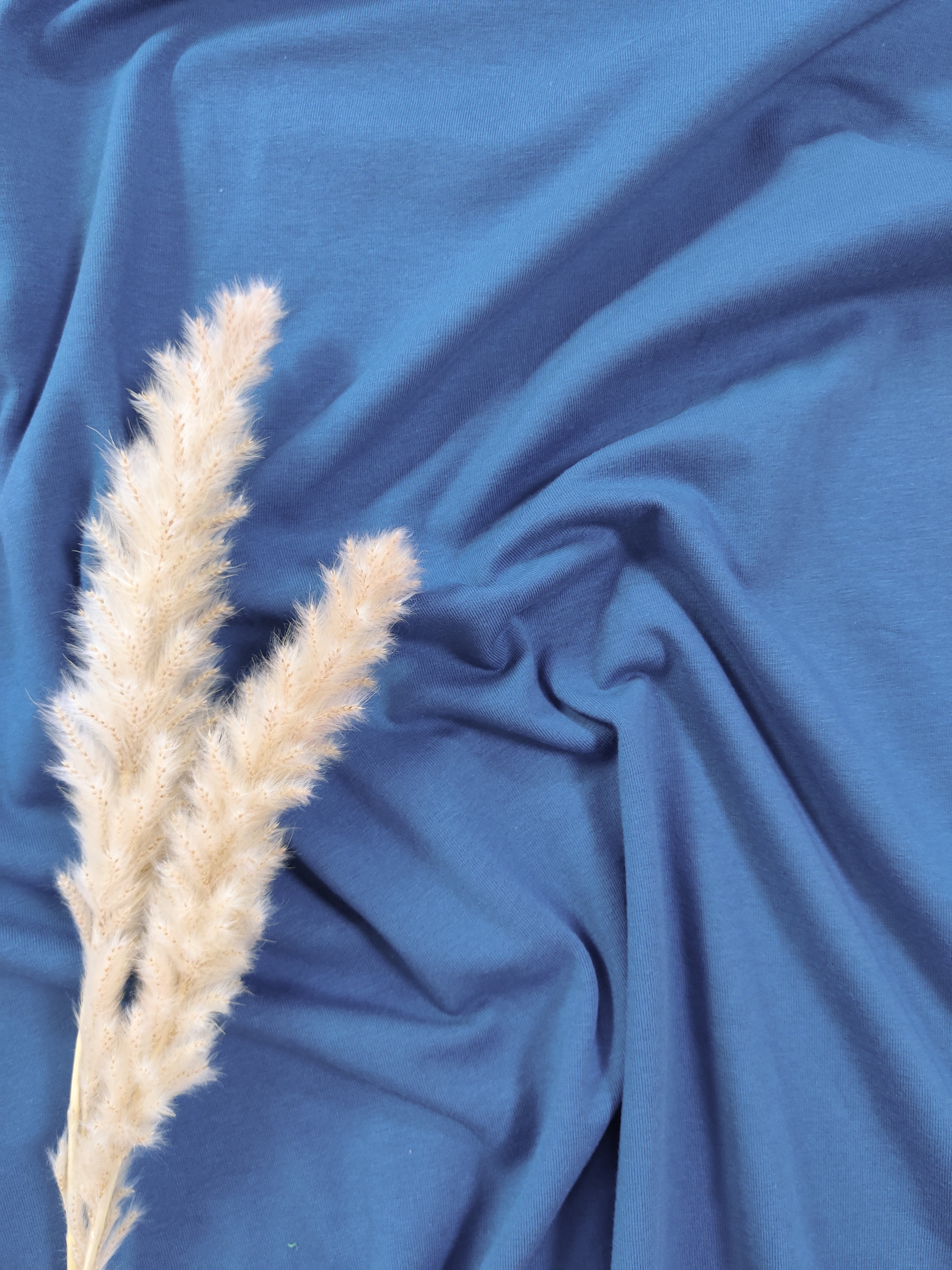 Jersey de coton BIO - Pétrole Foncé