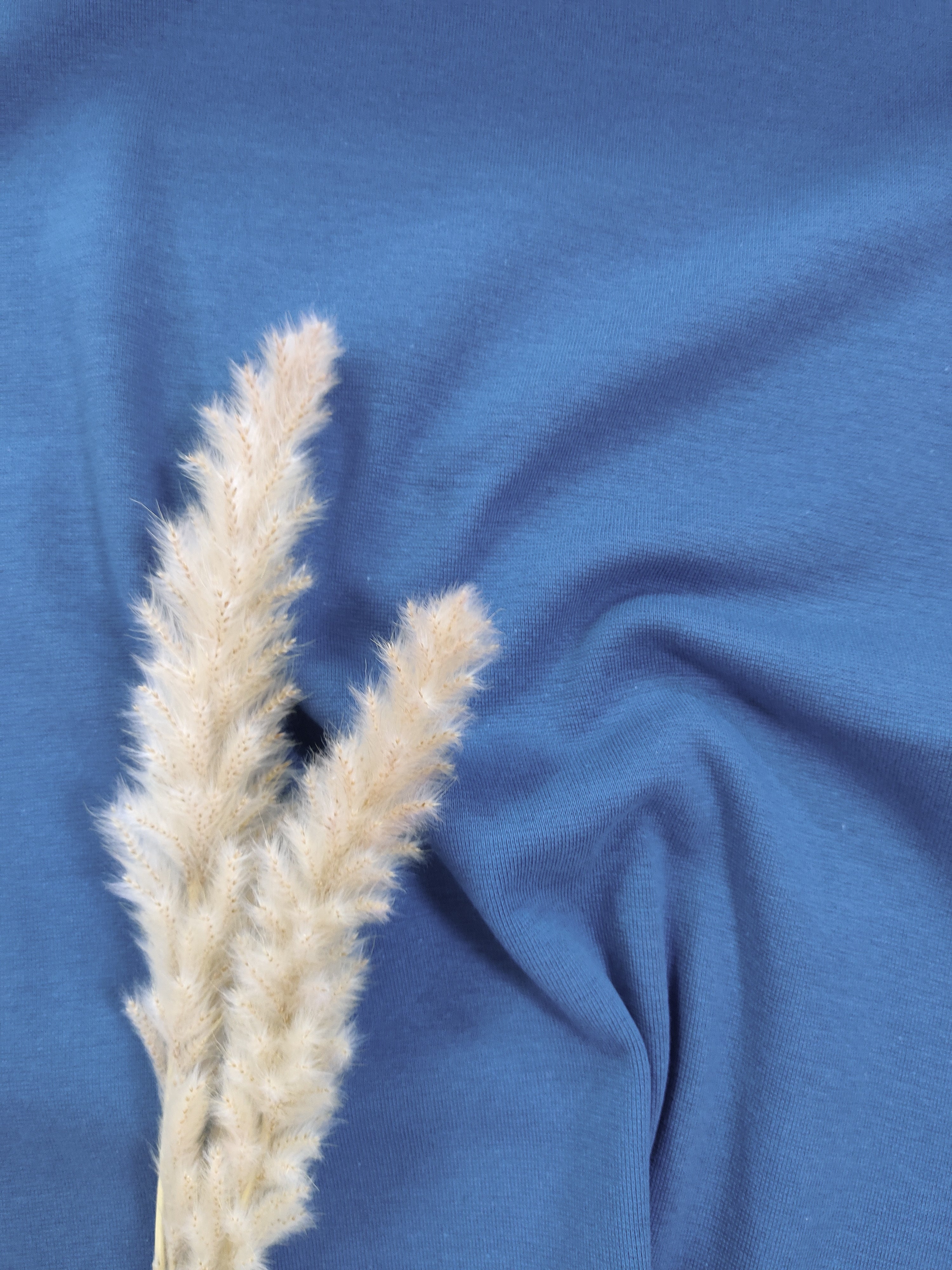 Bord-côte BIO - Pétrole Foncé