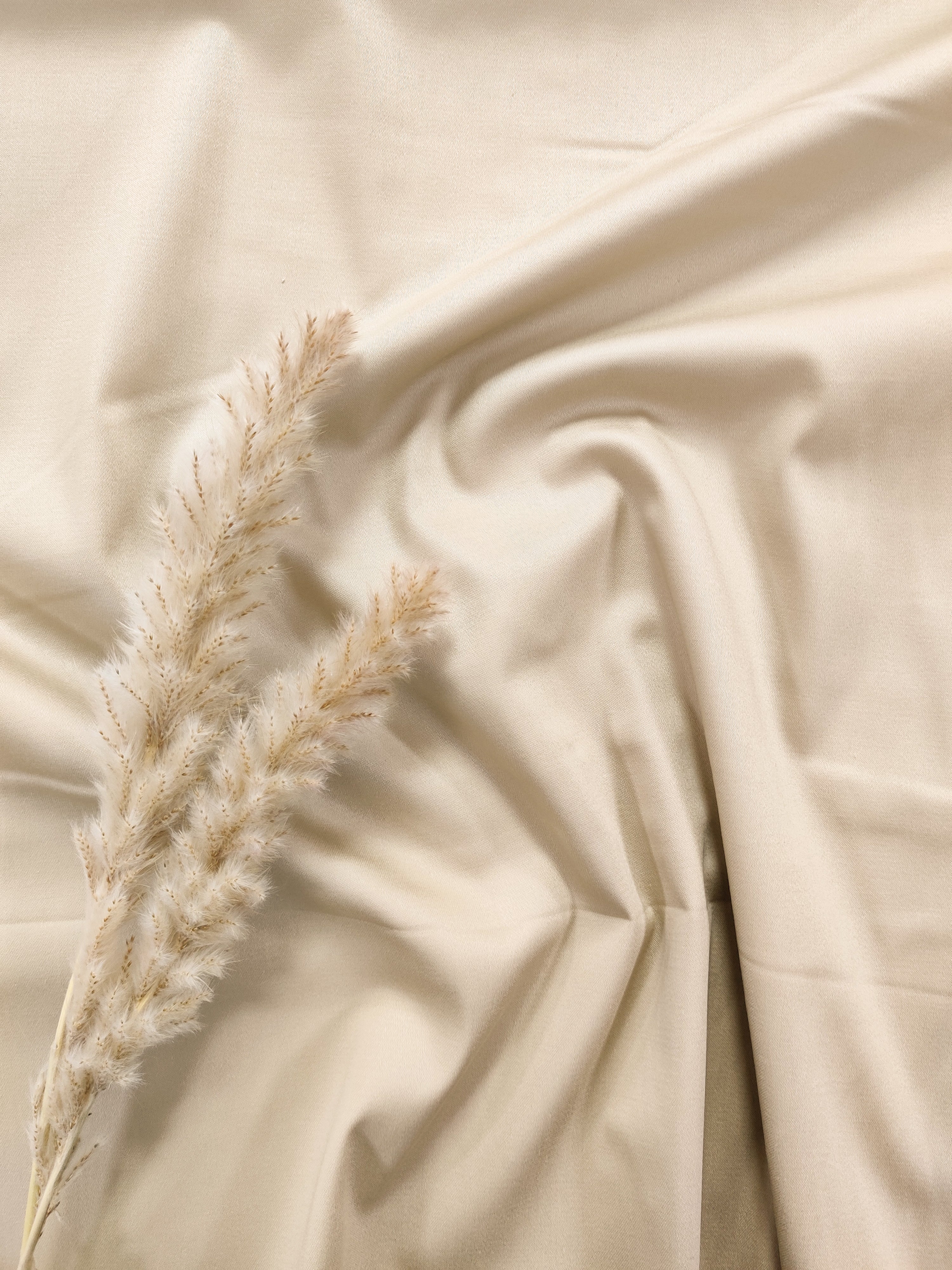 Satin de Coton stretch - beige clair