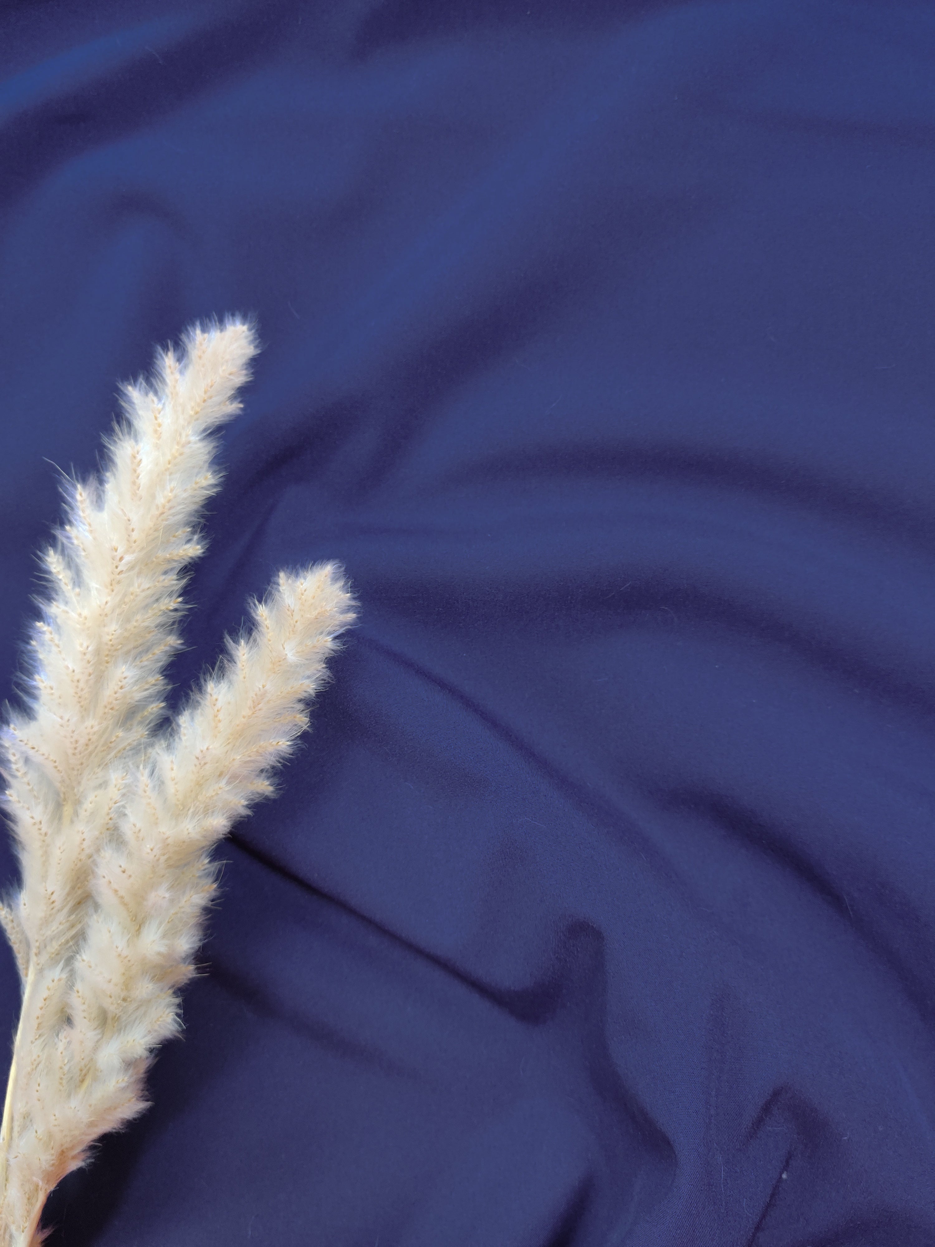 Softshell - Bleu Marine