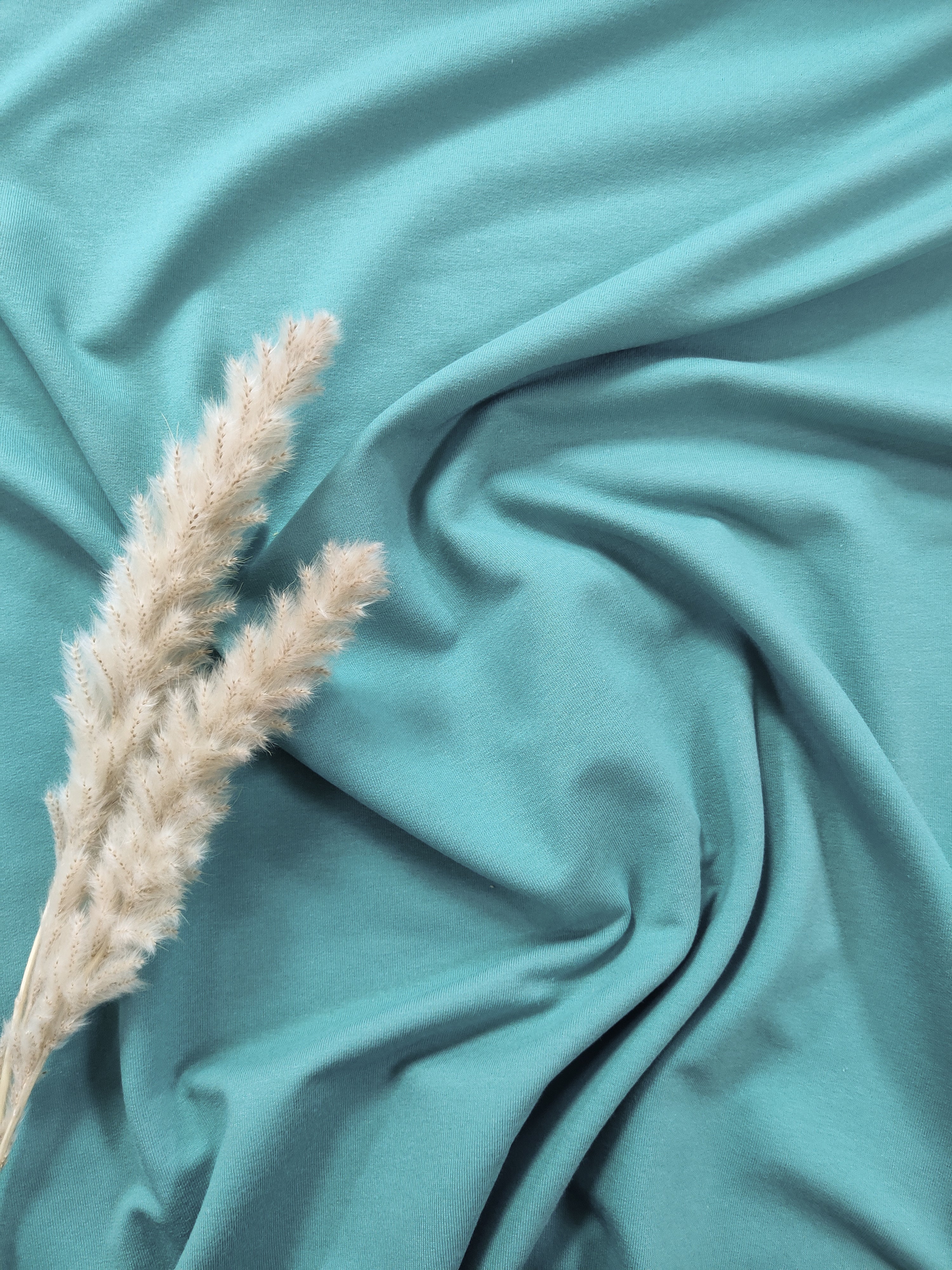 Jersey de coton BIO - Vieux Vert