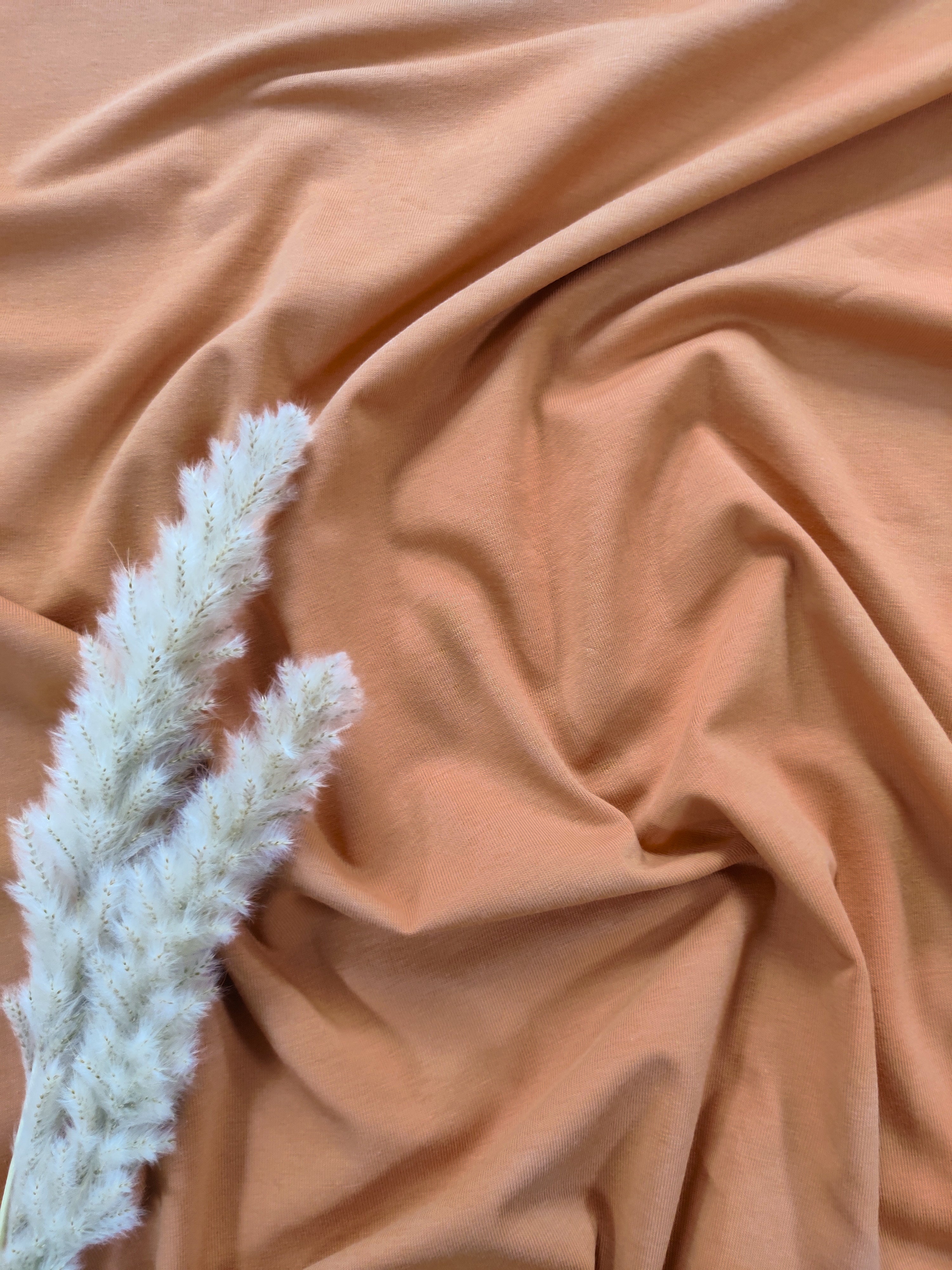 Jersey de coton BIO - Orange abricot