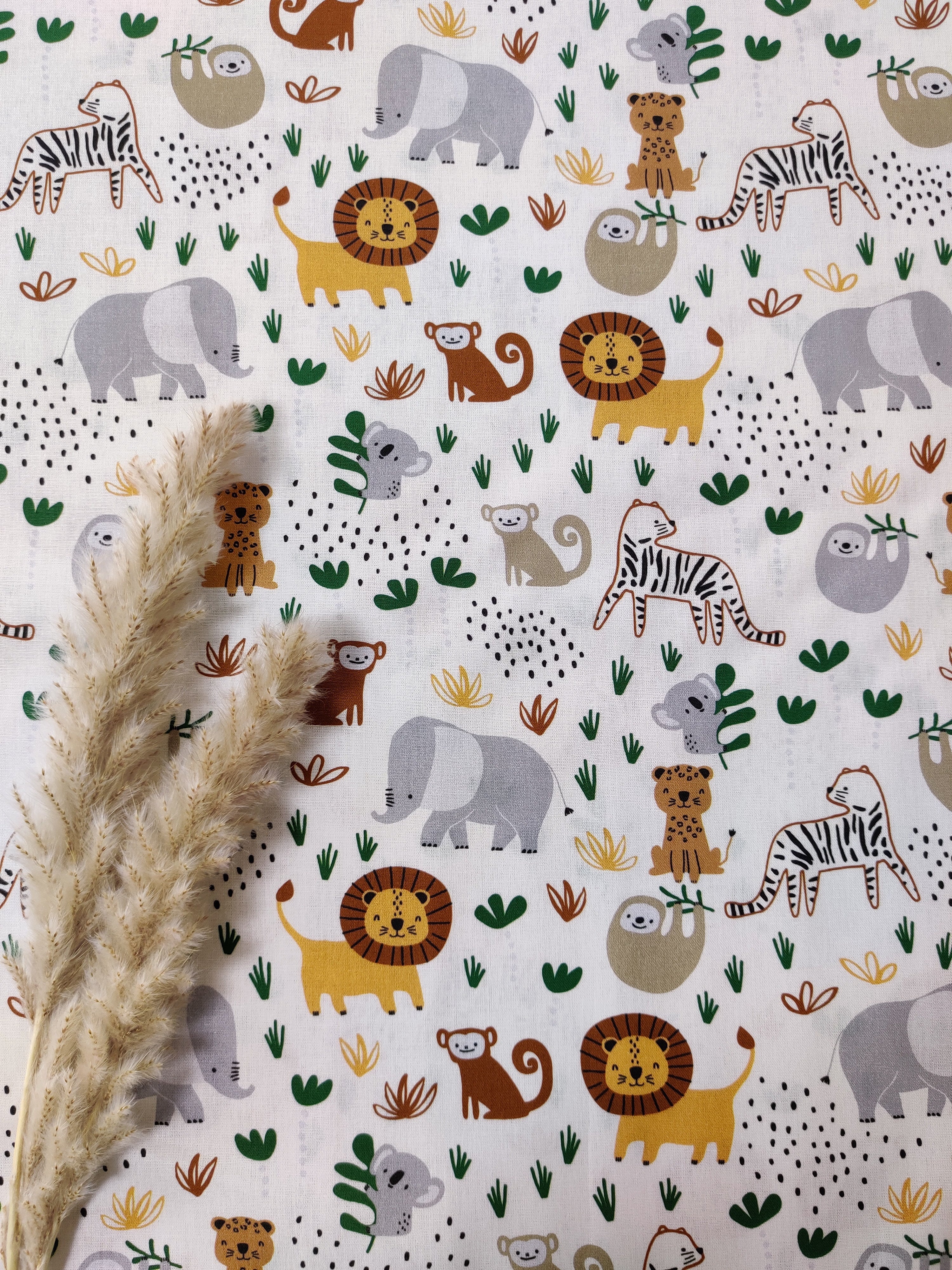 Popeline de Coton écru - Baby savane