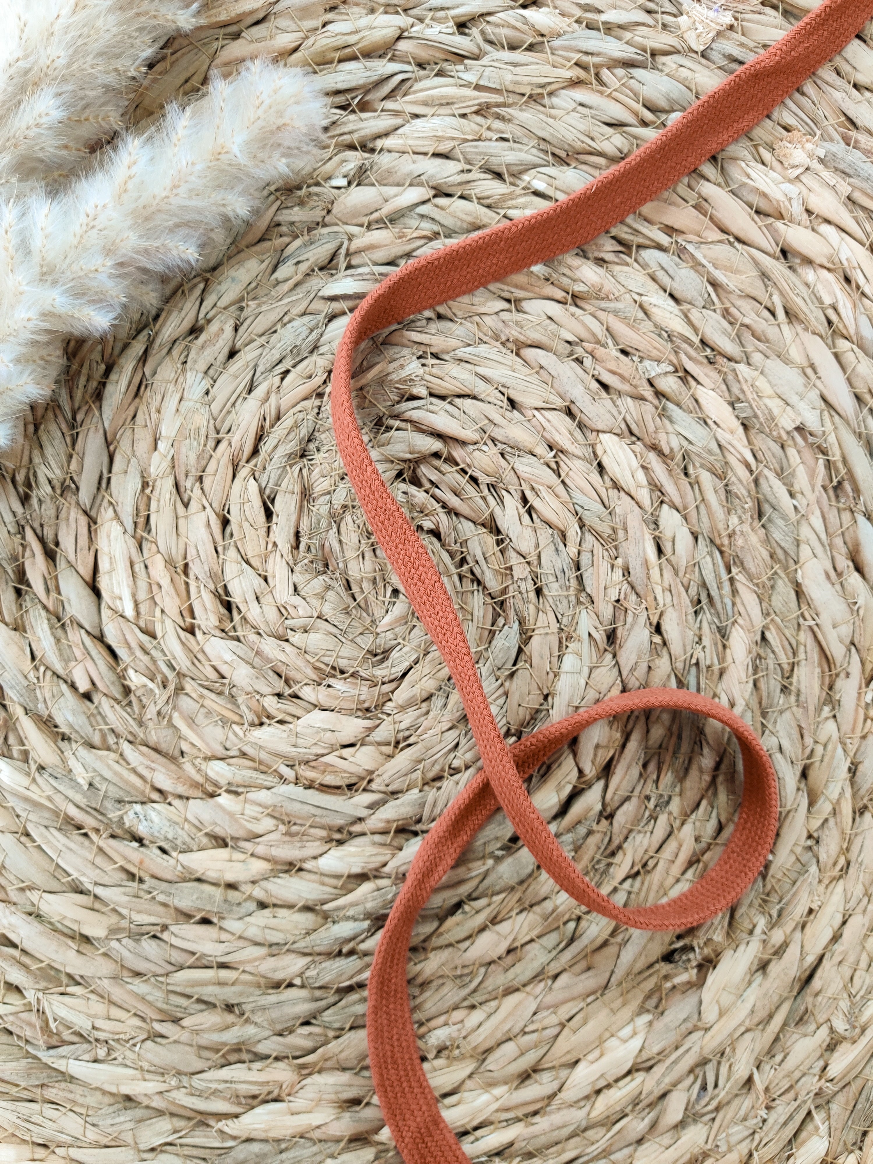 Cordon plat pour sweat 15mm - Terra