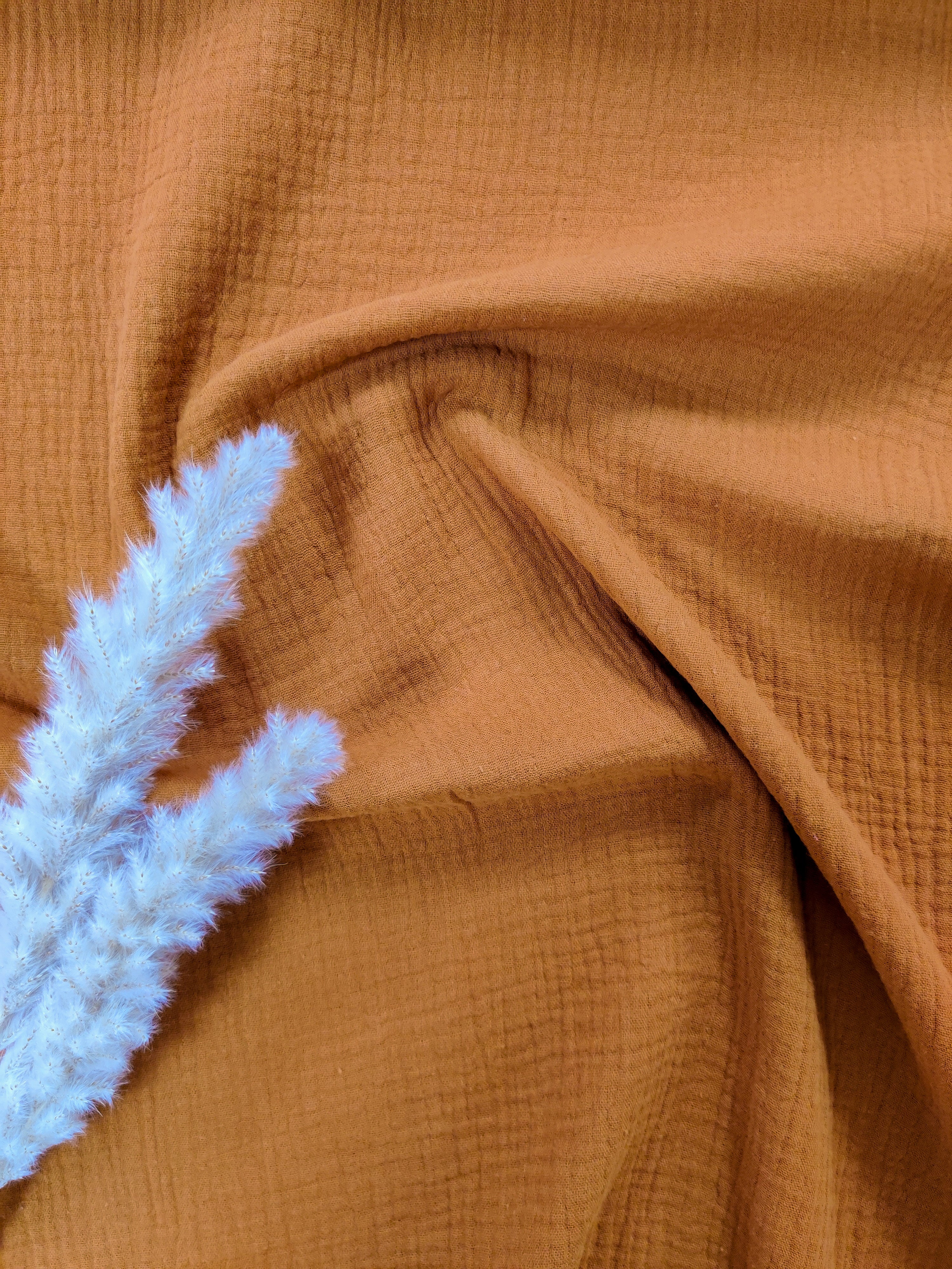 Double gaze - Cognac