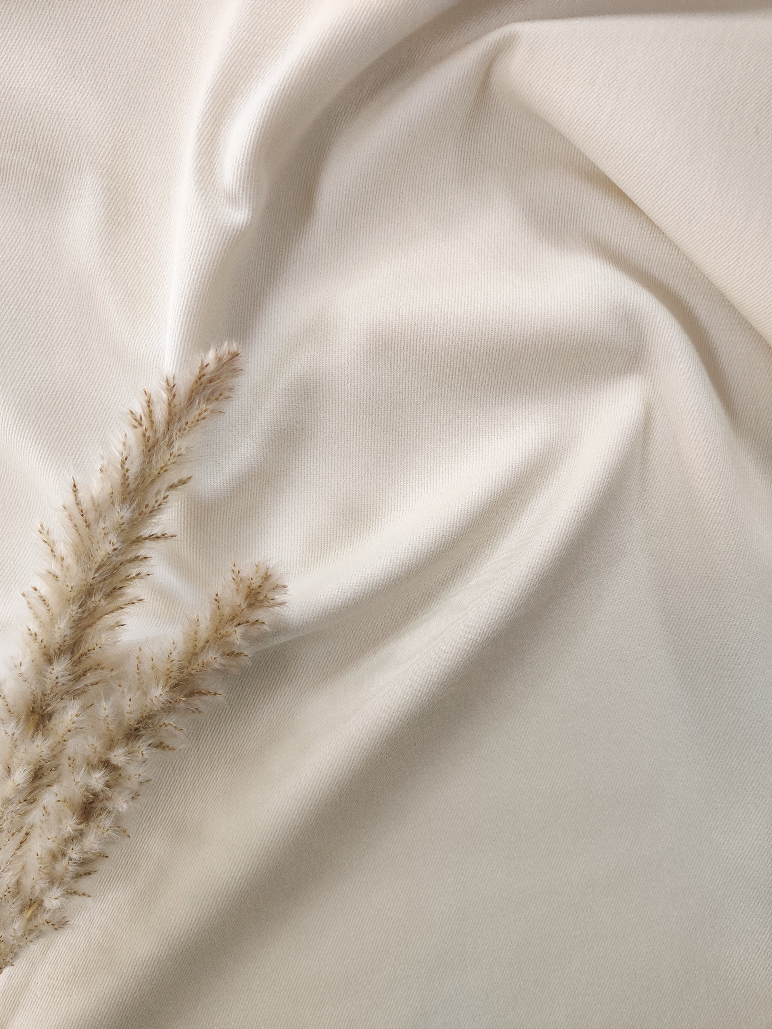 Jeans stretch - Ecru