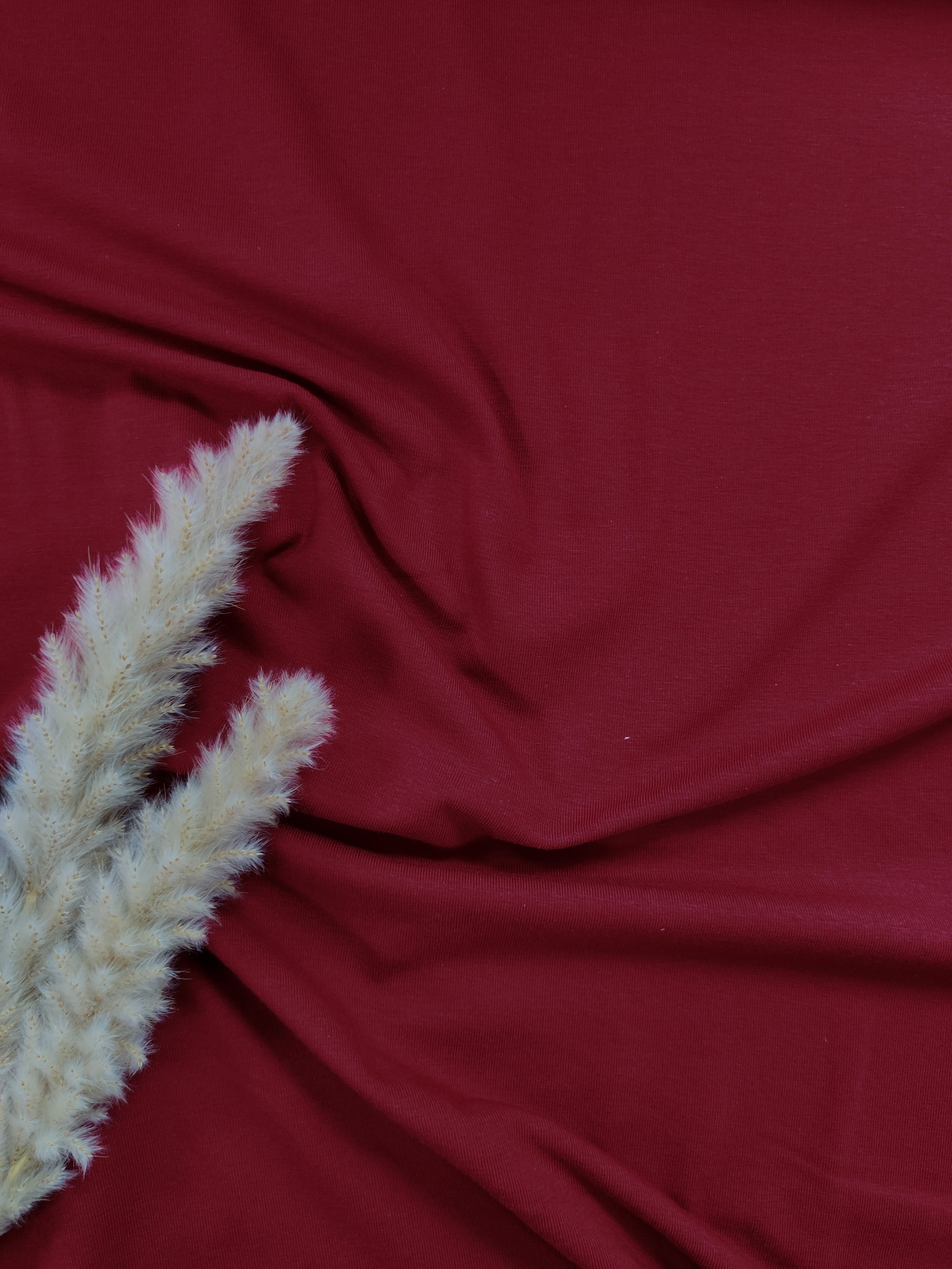 Jersey de coton BIO - Bordeaux