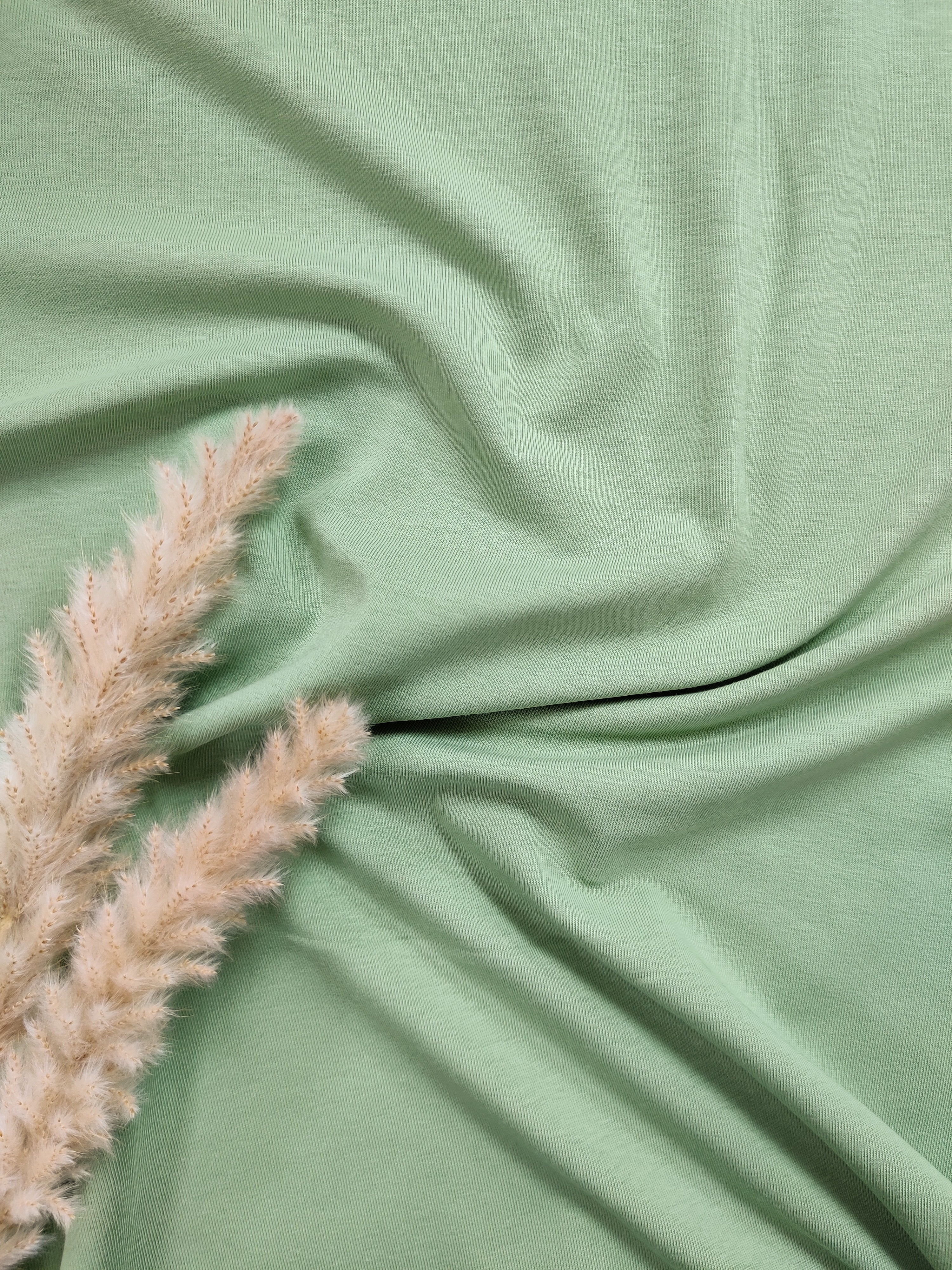 Jersey de coton BIO - Vert jade