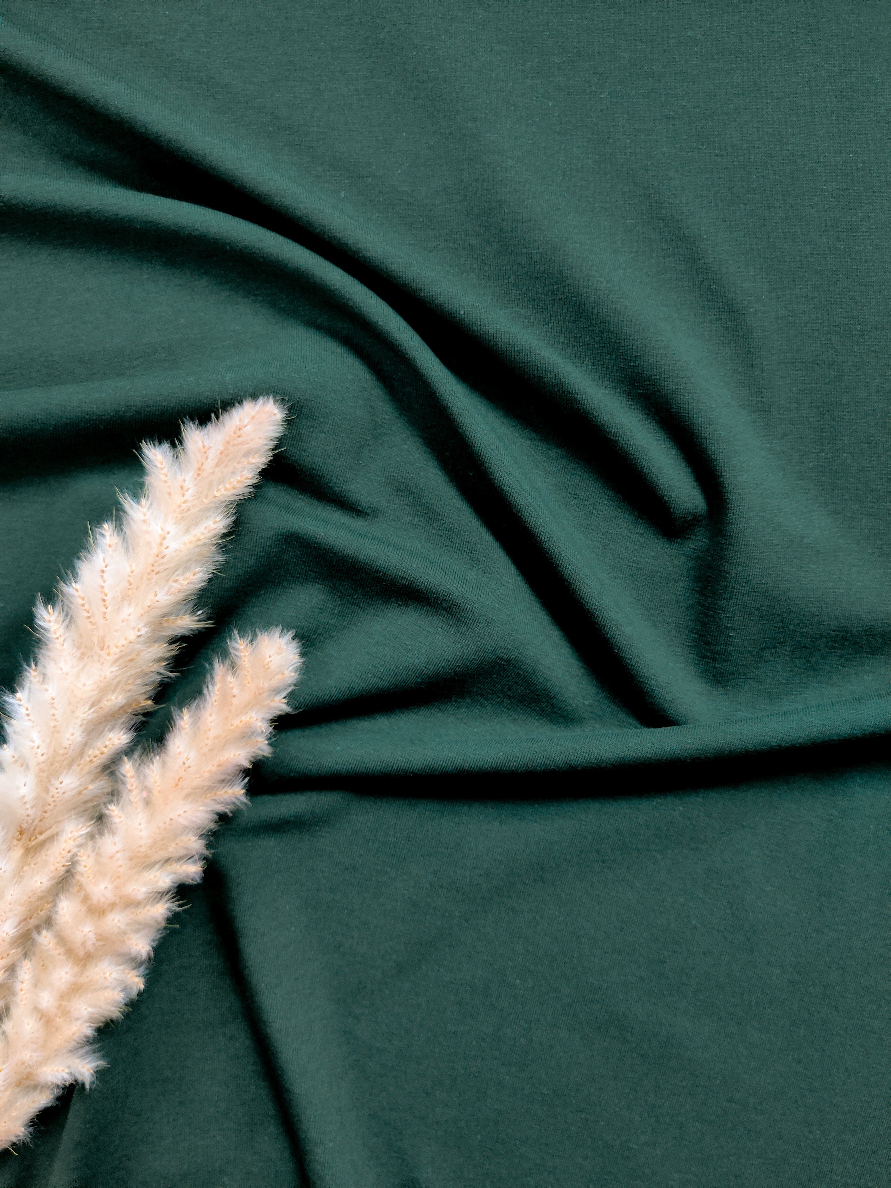 Bord-côte BIO - Vert sapin