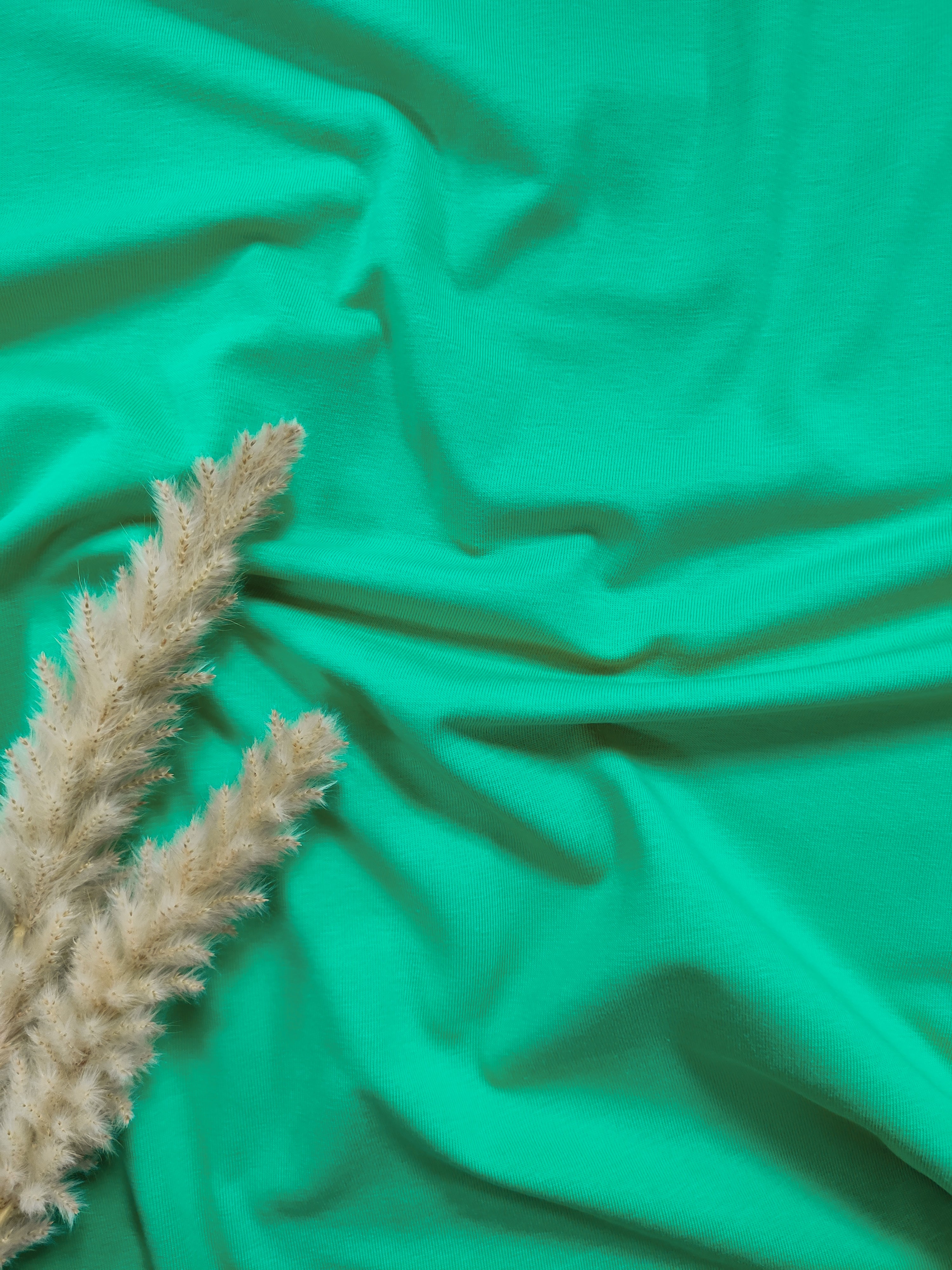 Bord-côte BIO - Vert printemps