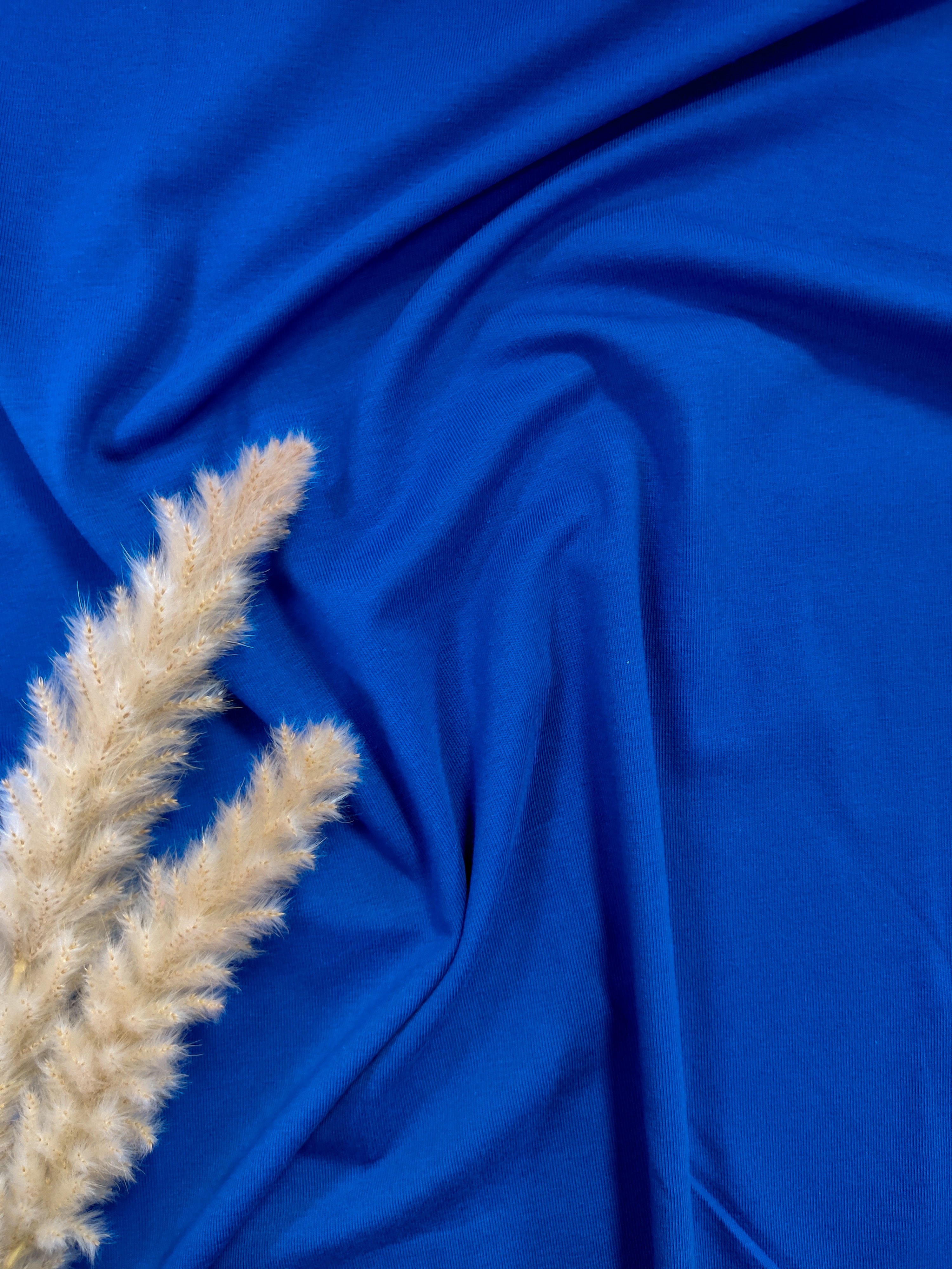 Jersey de coton BIO - Bleu roi