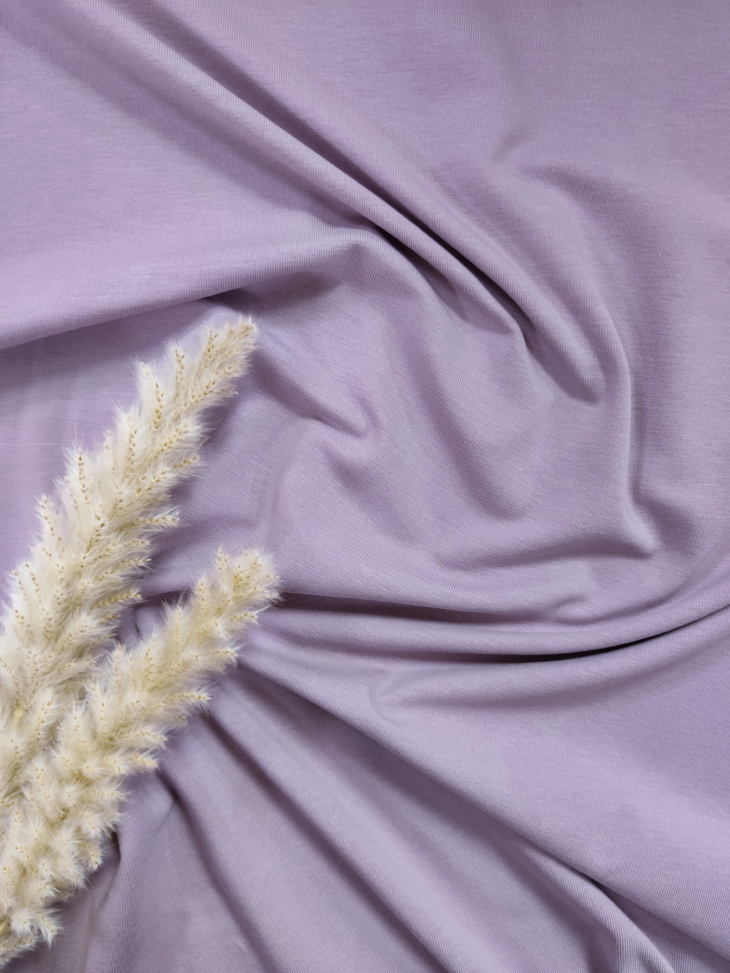 French terry BIO - Lavande