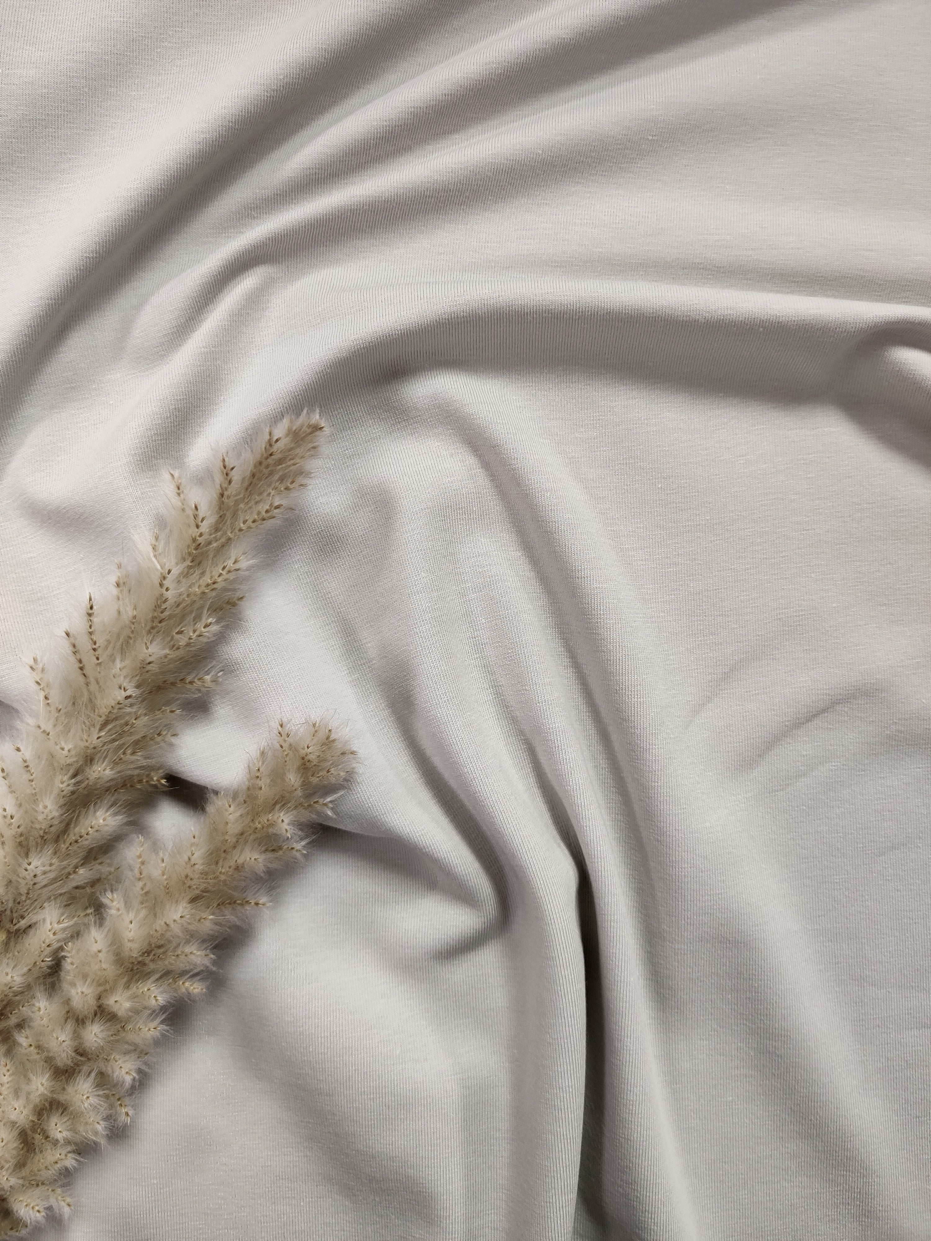 Jersey de coton BIO - Gris clair
