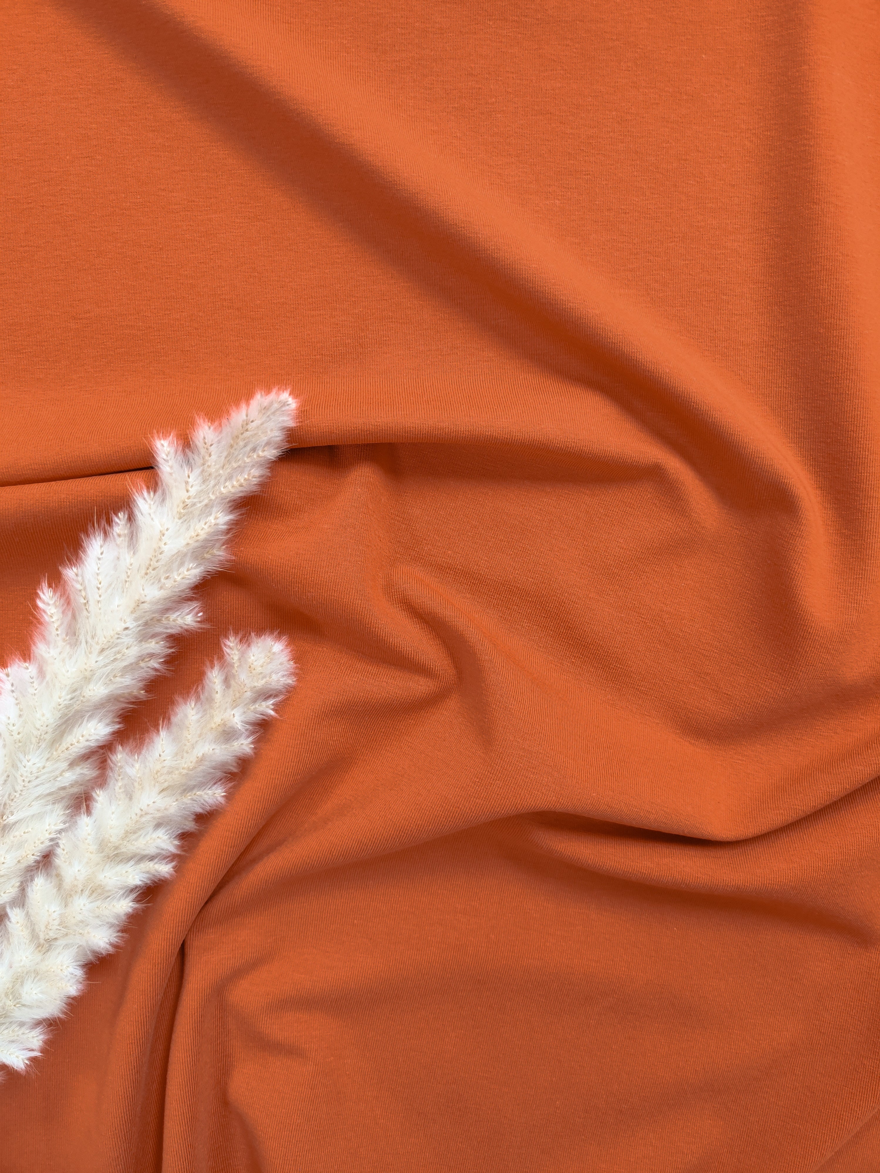 Jersey de coton BIO - Orange brûlée