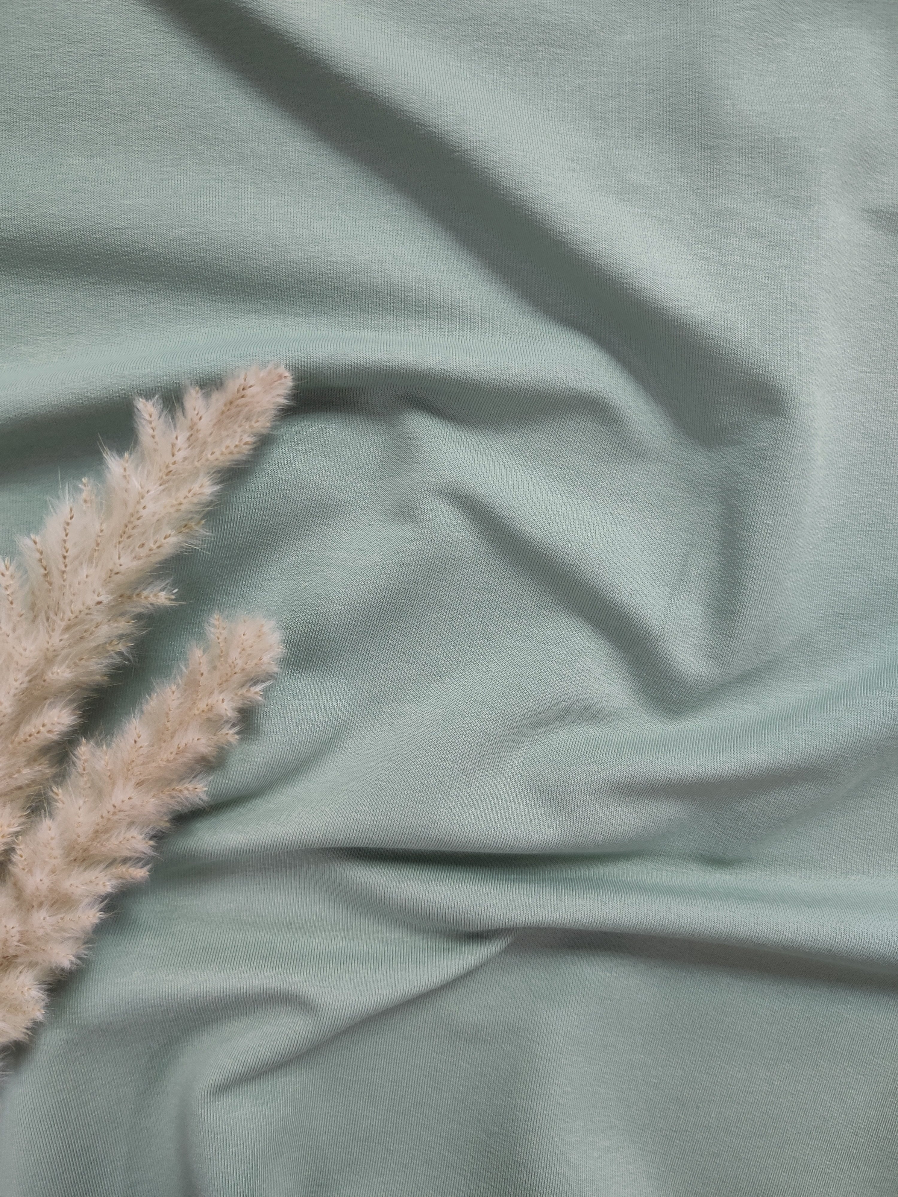 Jersey de coton BIO - Vert de gris