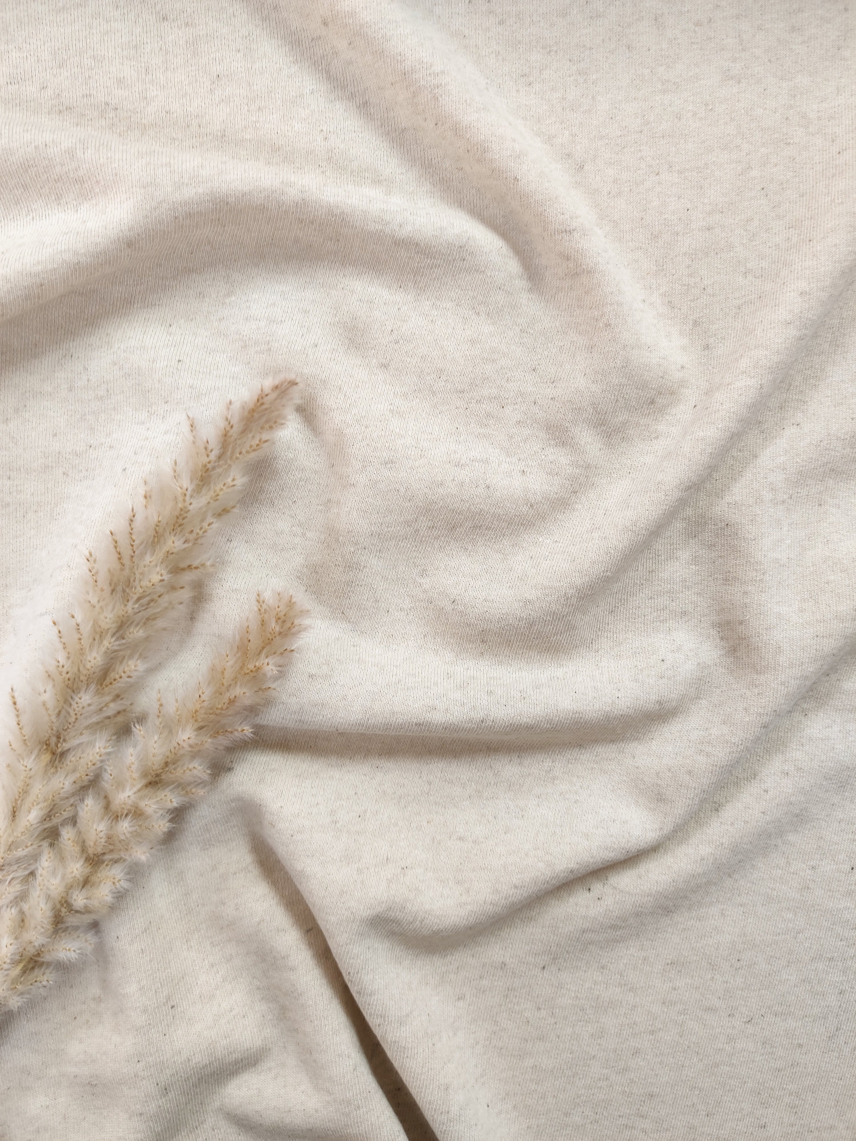 French Terry coton et lin - Beige naturel