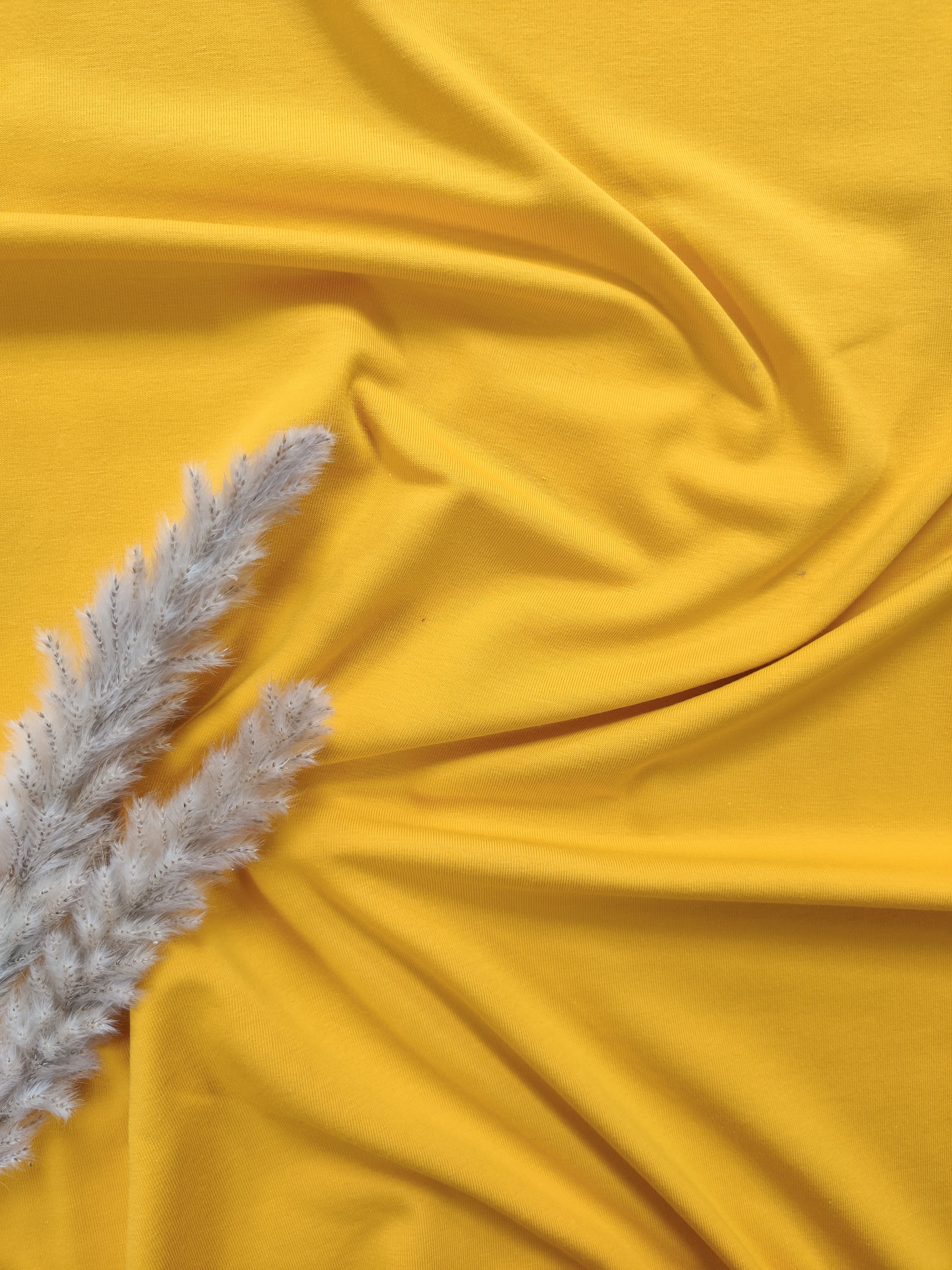 Jersey de coton BIO - Jaune