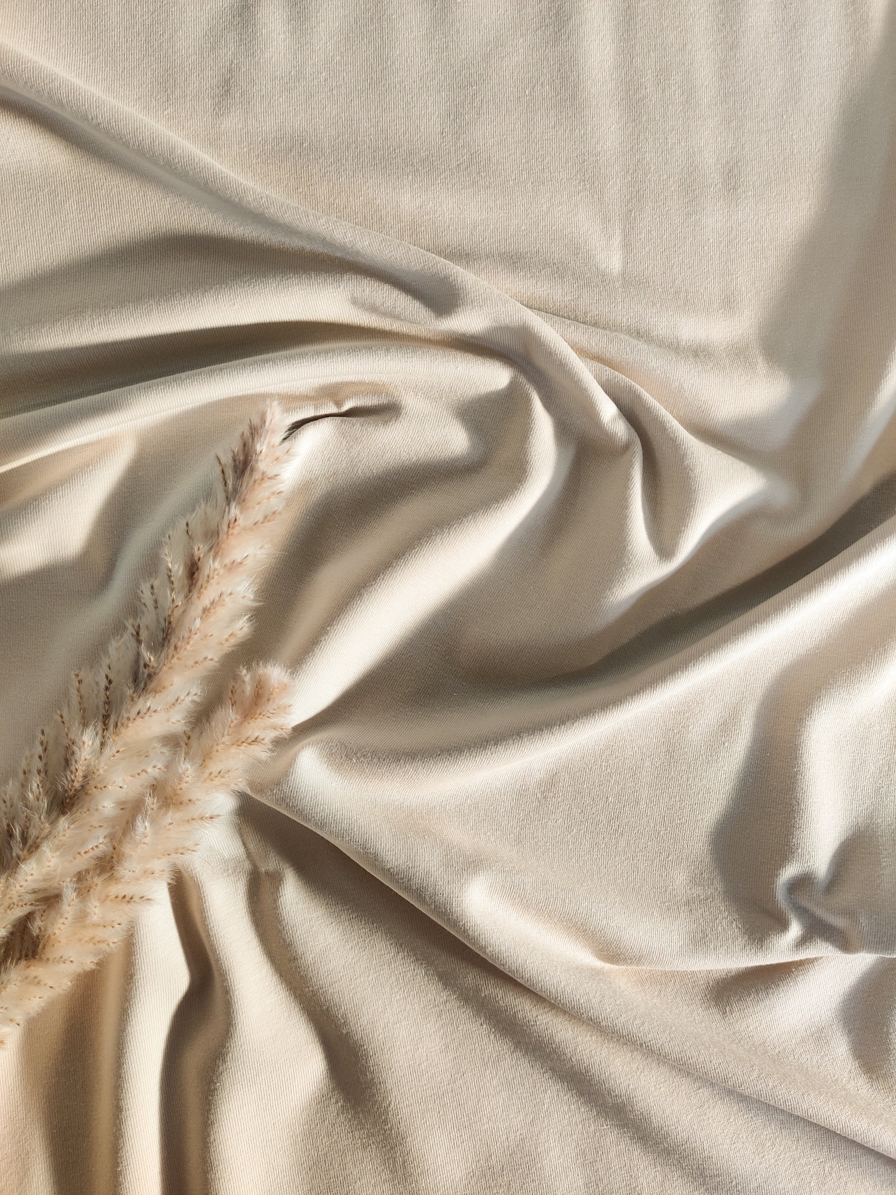 French Terry BIO - Beige sable