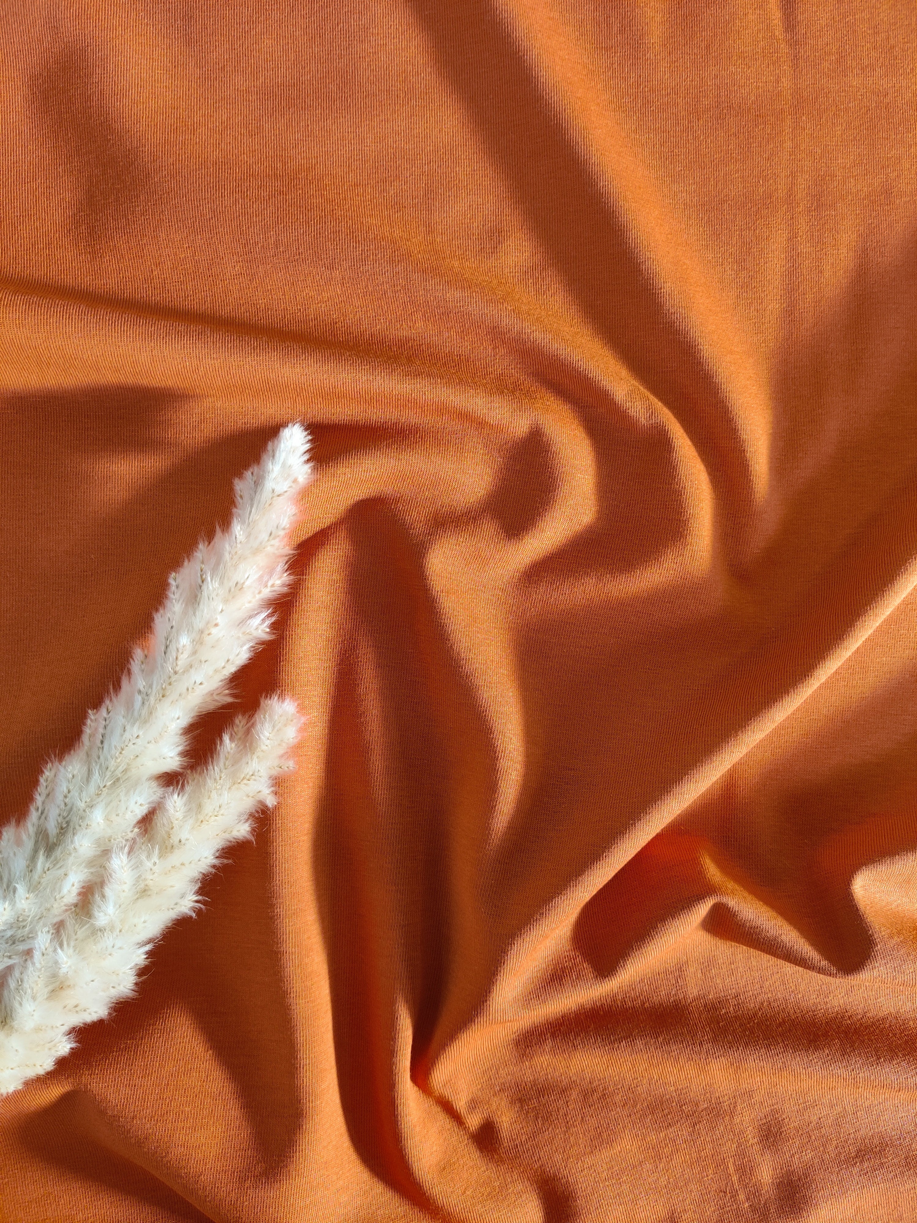 Jersey de coton BIO - Orange brique