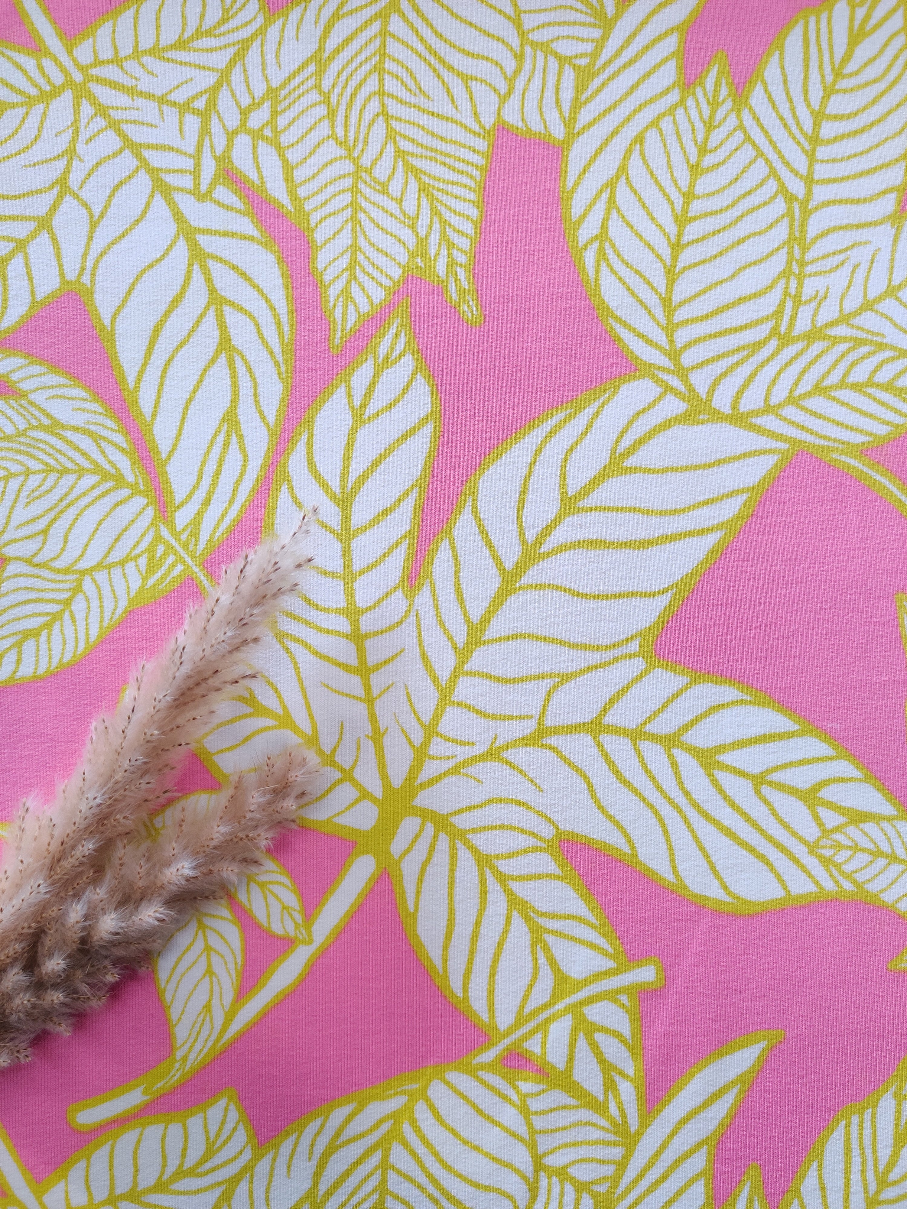 French Terry rose - Feuilles peps